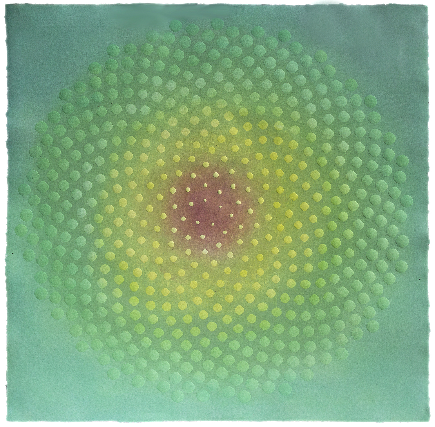 Phyllotaxis 34