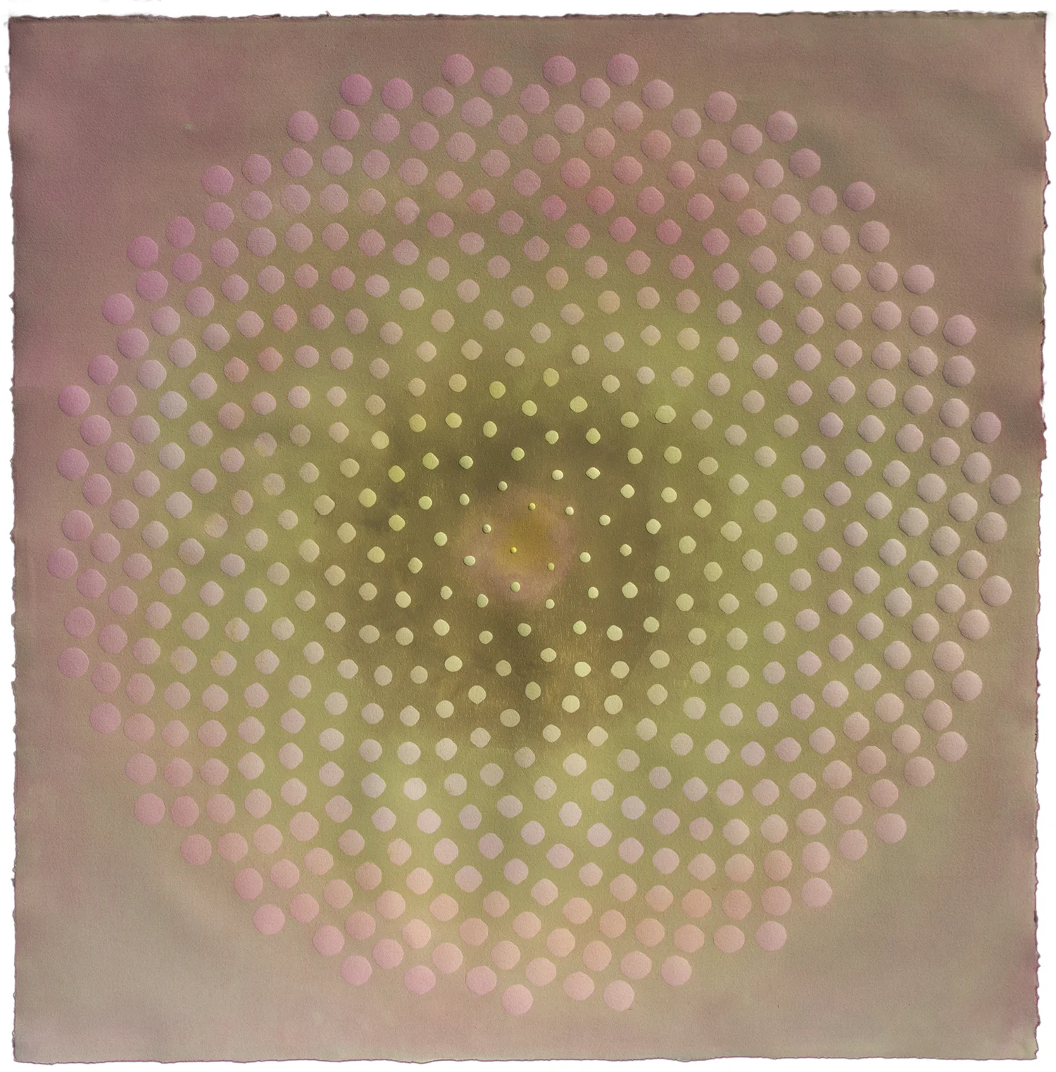 Phyllotaxis 36