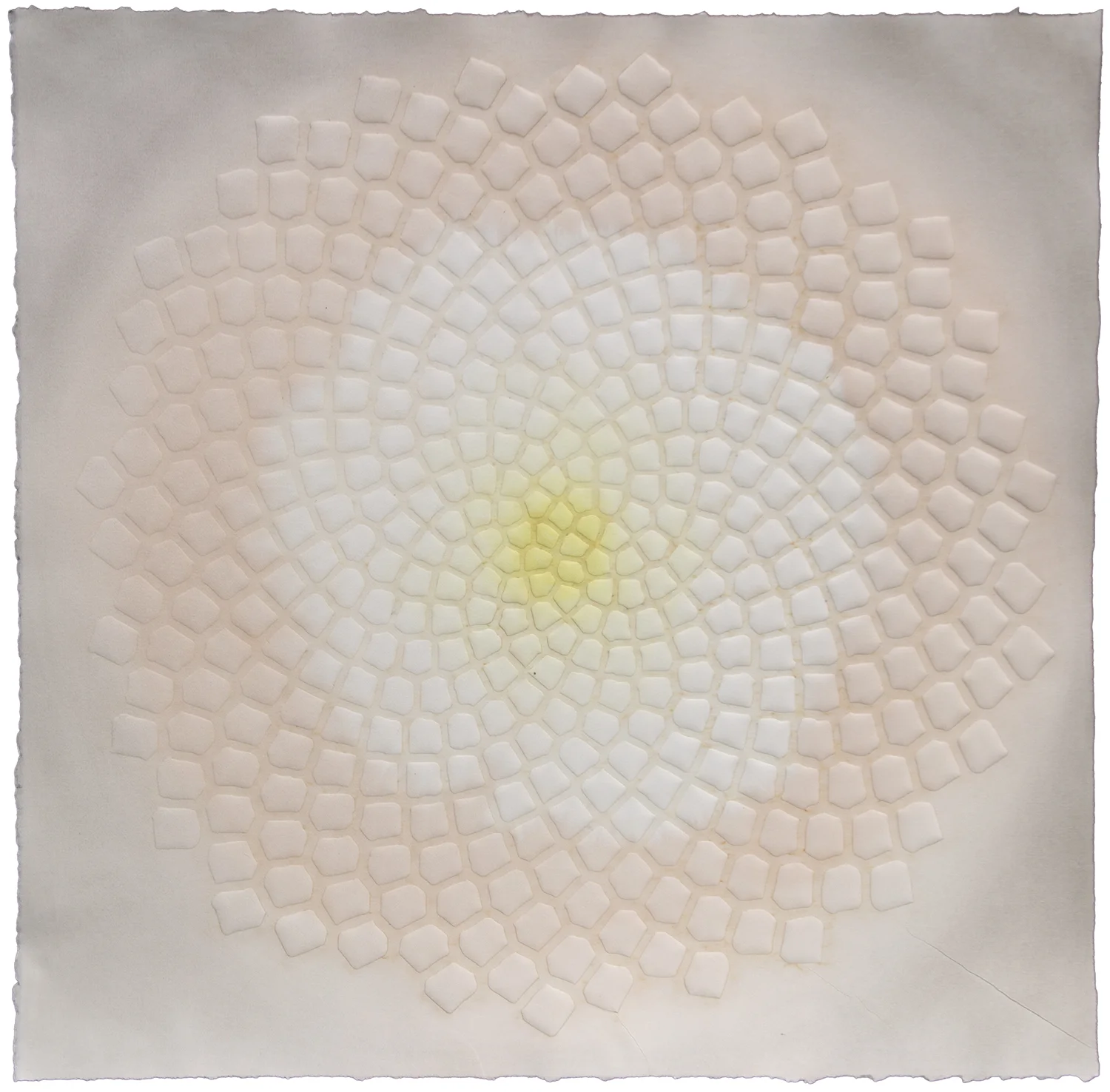 Phyllotaxis 125