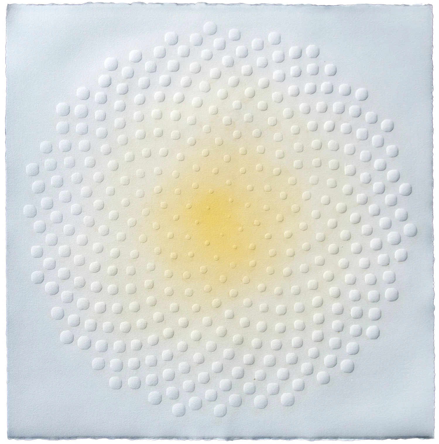 Phyllotaxis 201