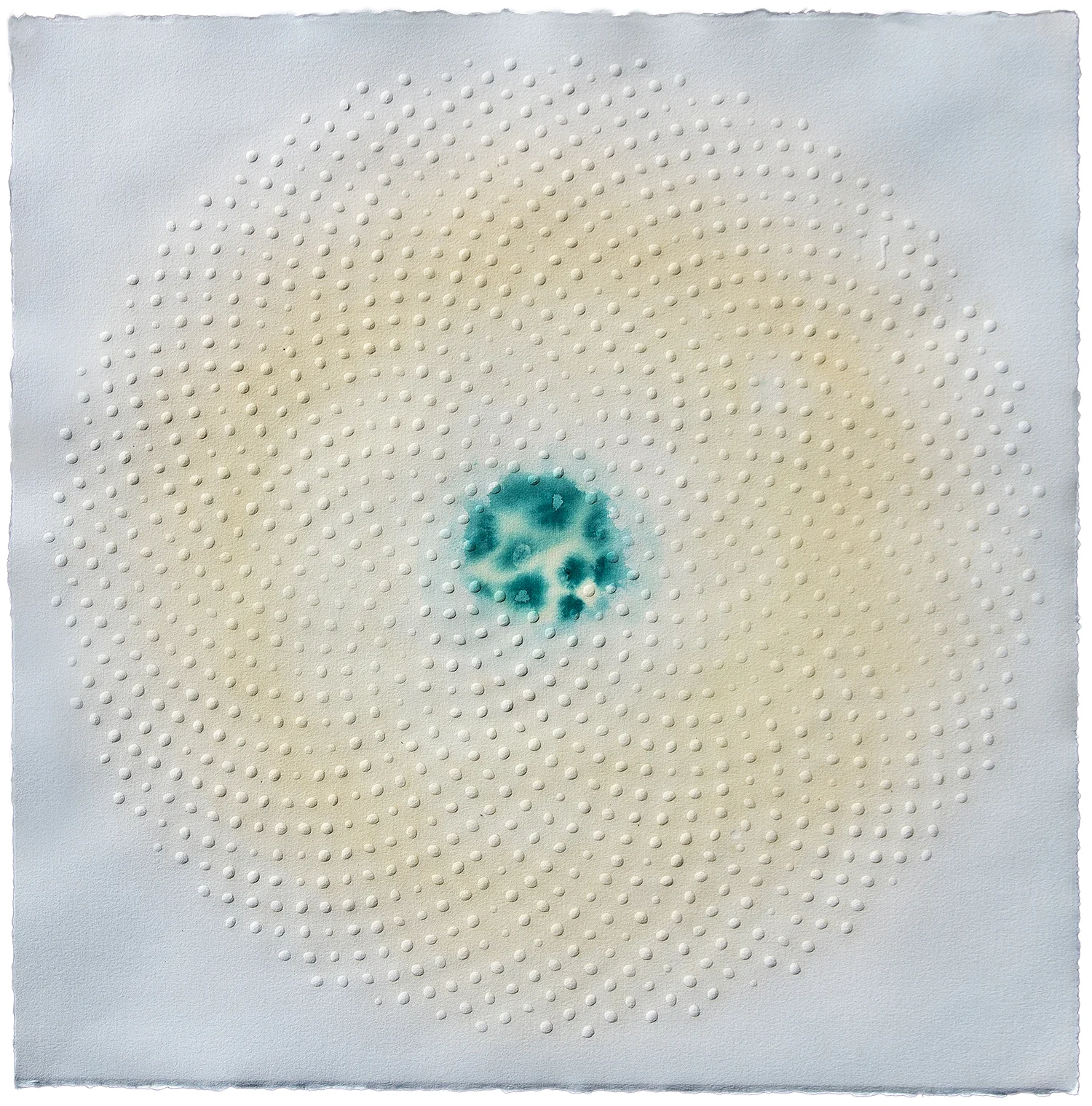 Phyllotaxis 203