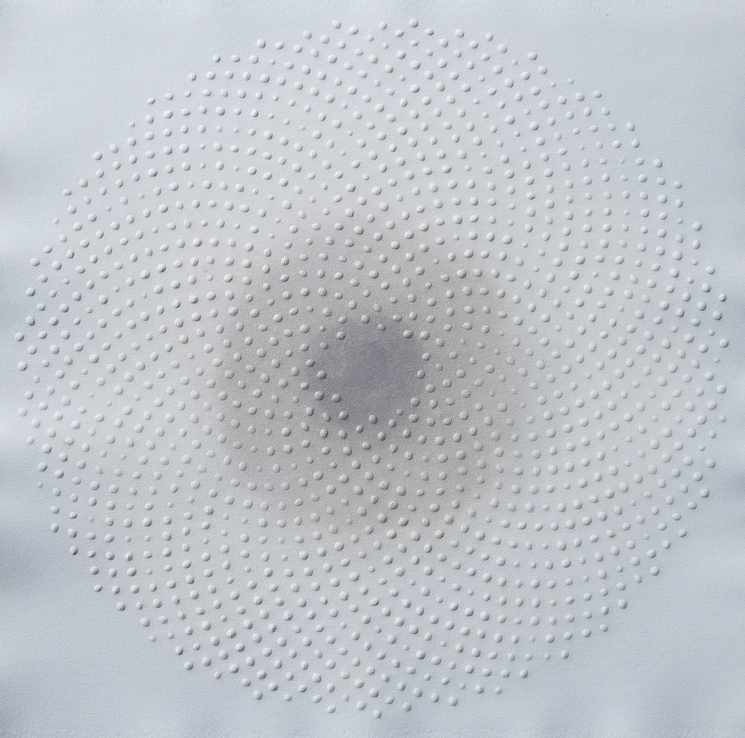 Phyllotaxis 205