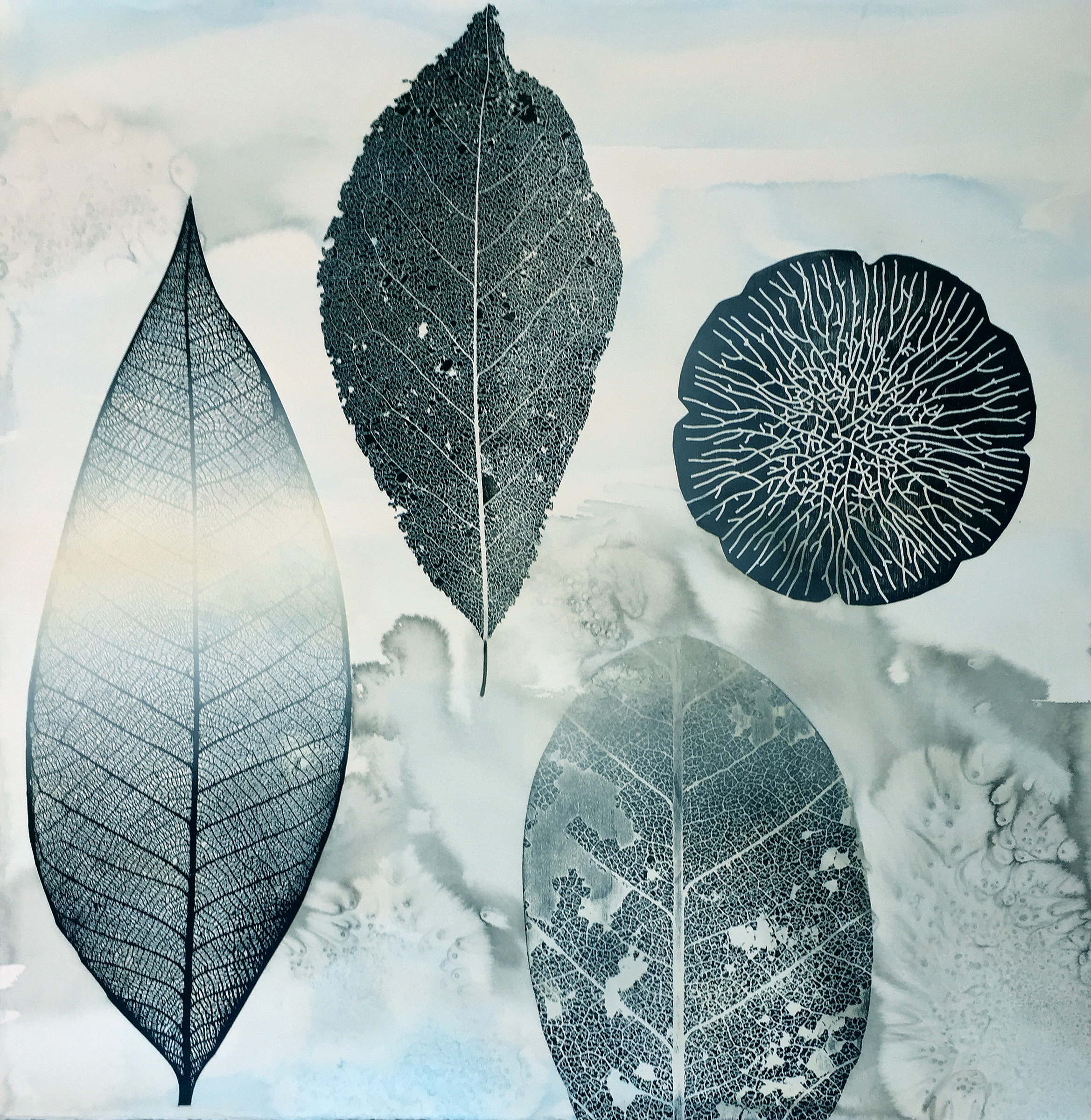 leaves 11