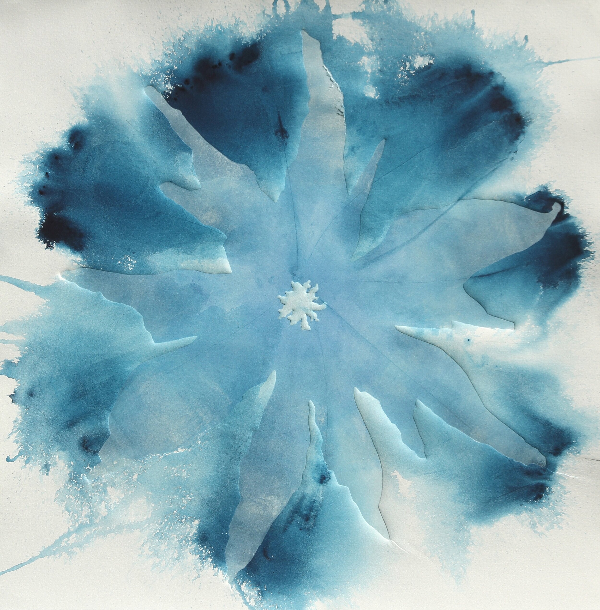 Blaue Blume 10