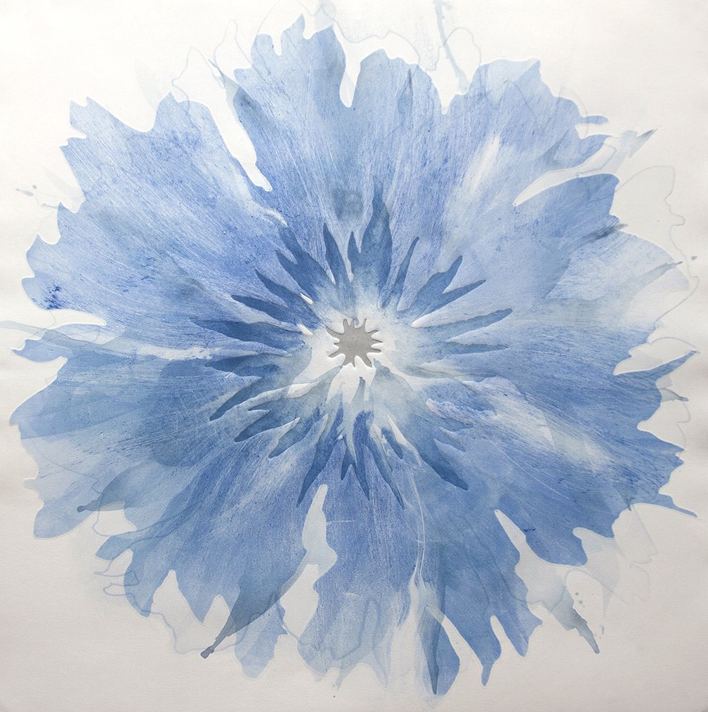 Blau Blume 60