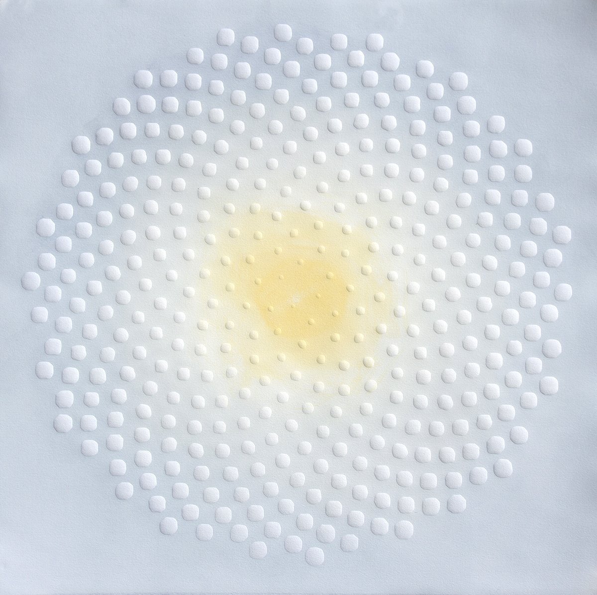 Phyllotaxis 400 2023