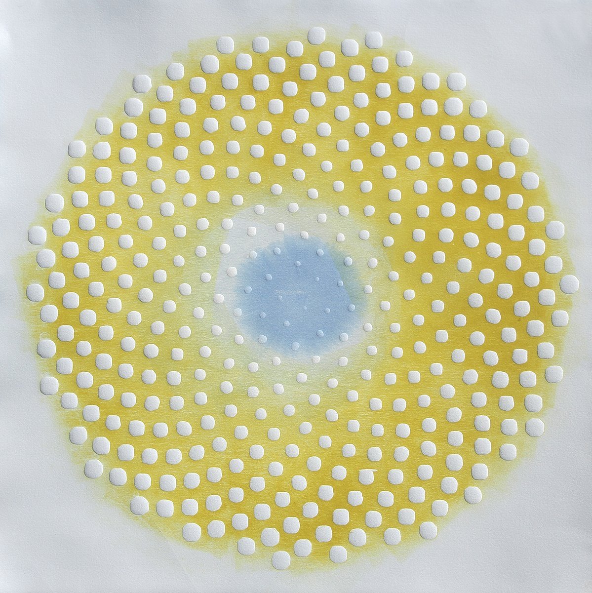 Phyllotaxis 403 2023