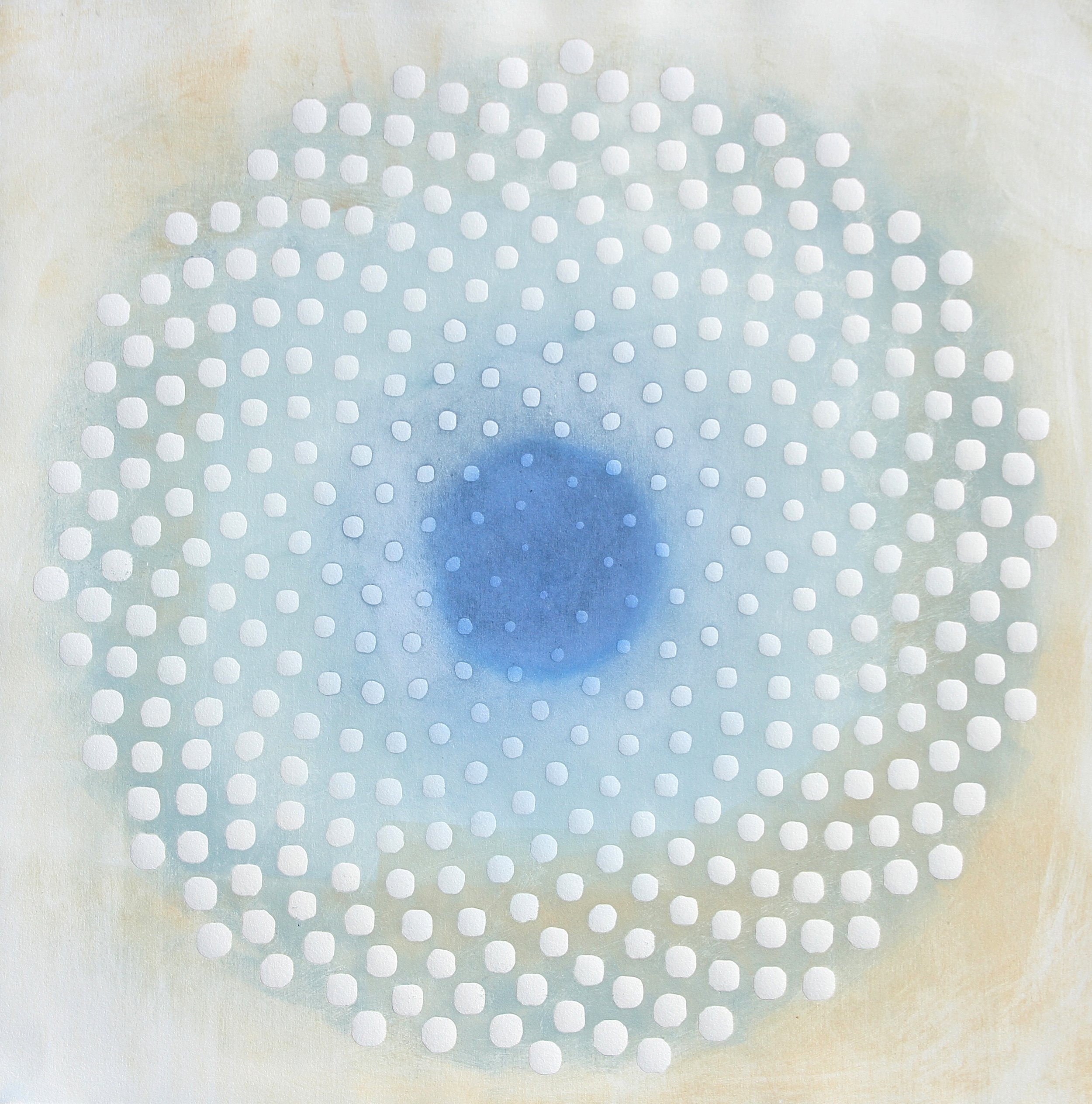Phyllotaxis 407 2023