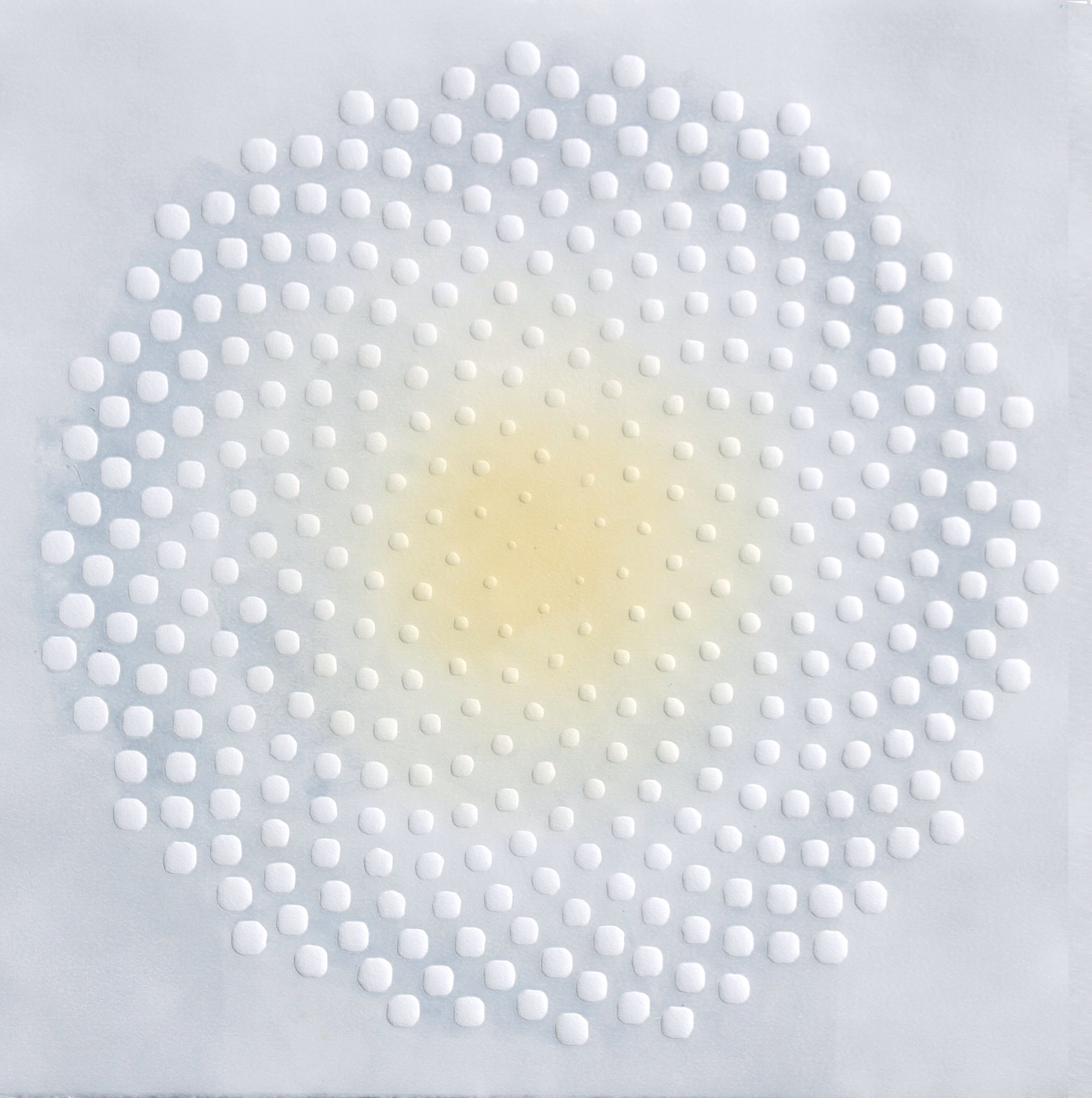 Phyllotaxis 404 2023