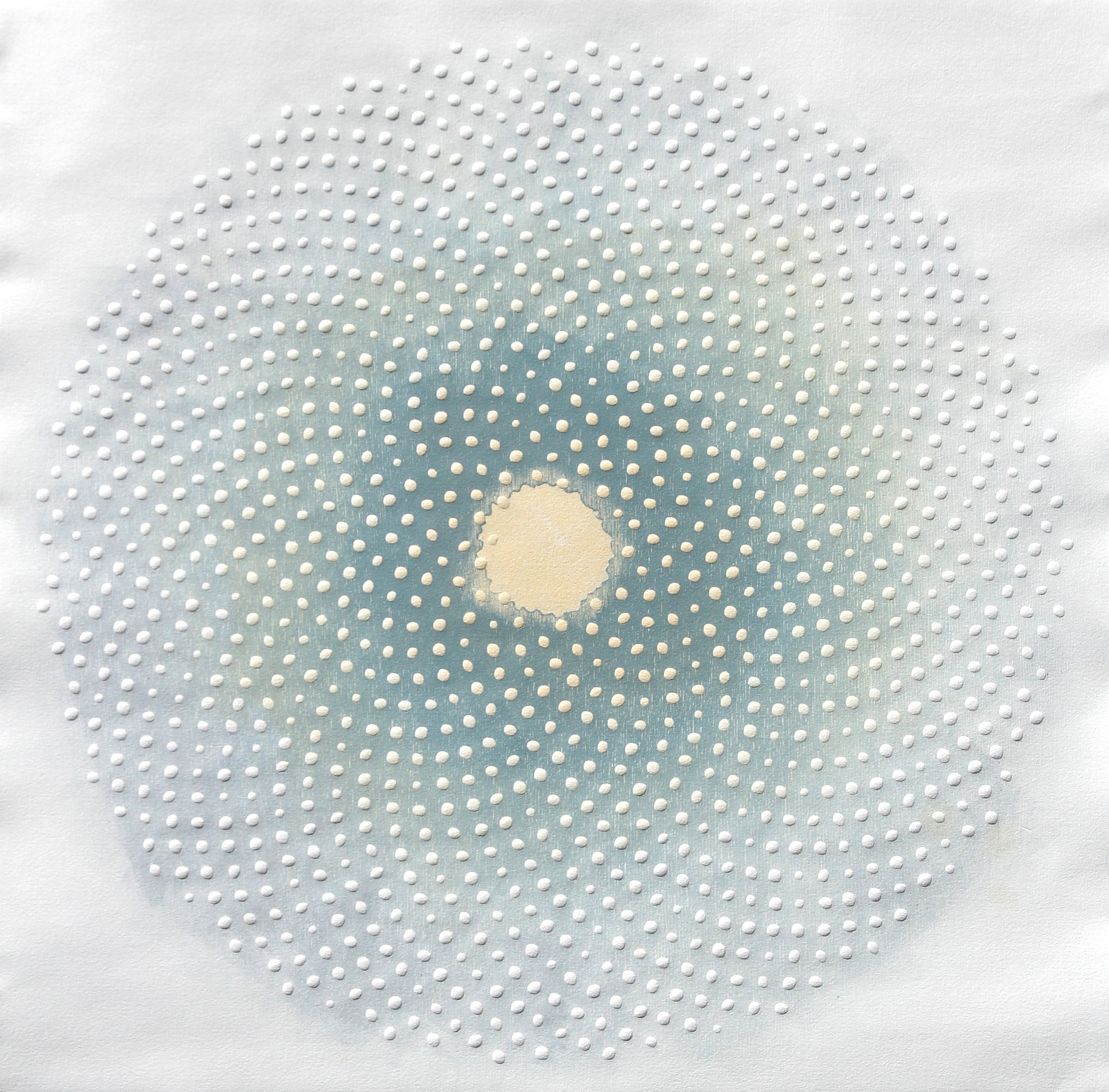Phyllotaxis 405 2023