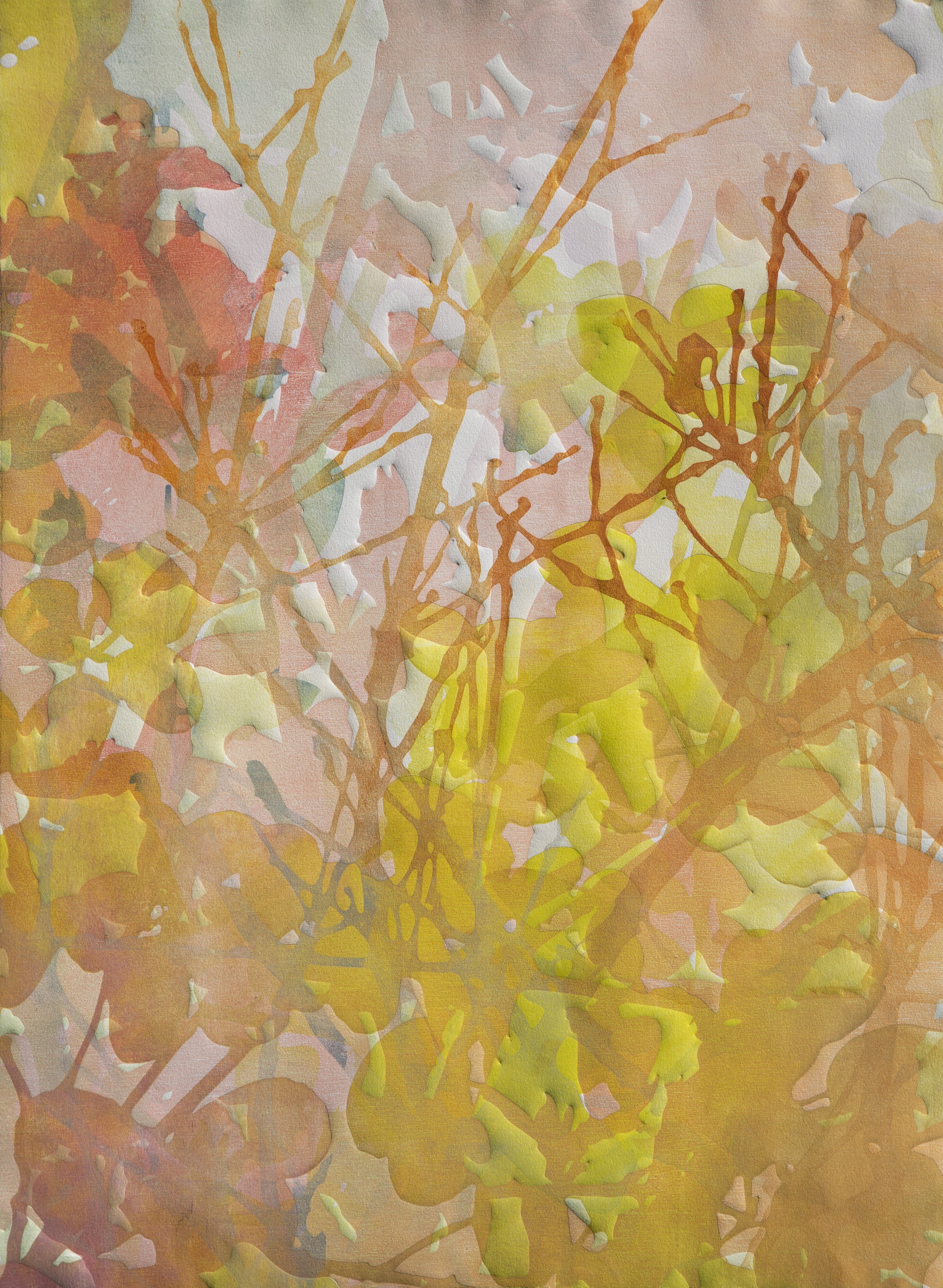 Rose Thicket 2