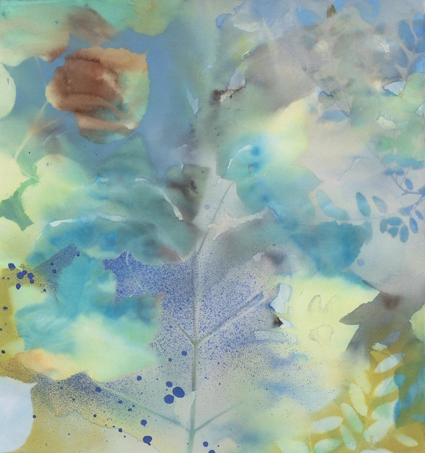 Feuilles de rêve  2025