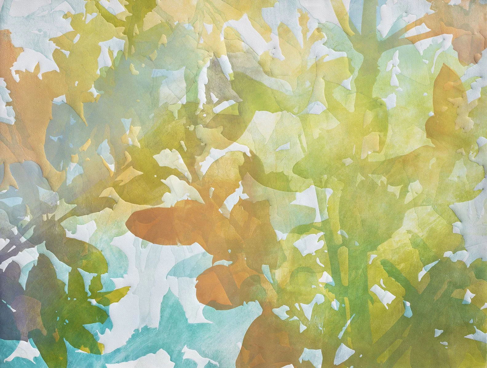 Changing Light   2025