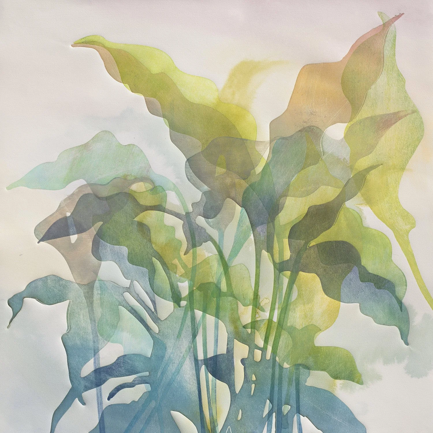 Peace Lily 1