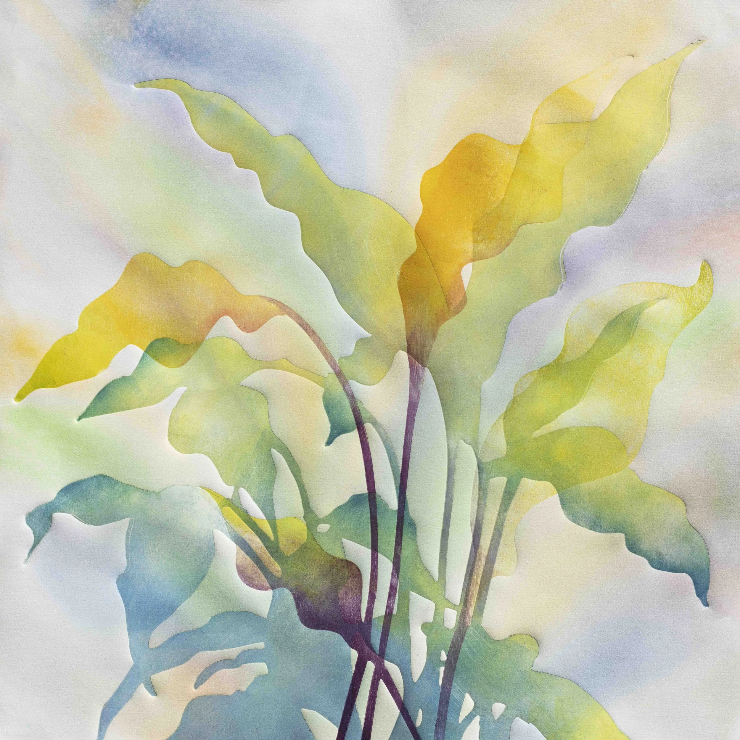 Peace Lily 2  2026