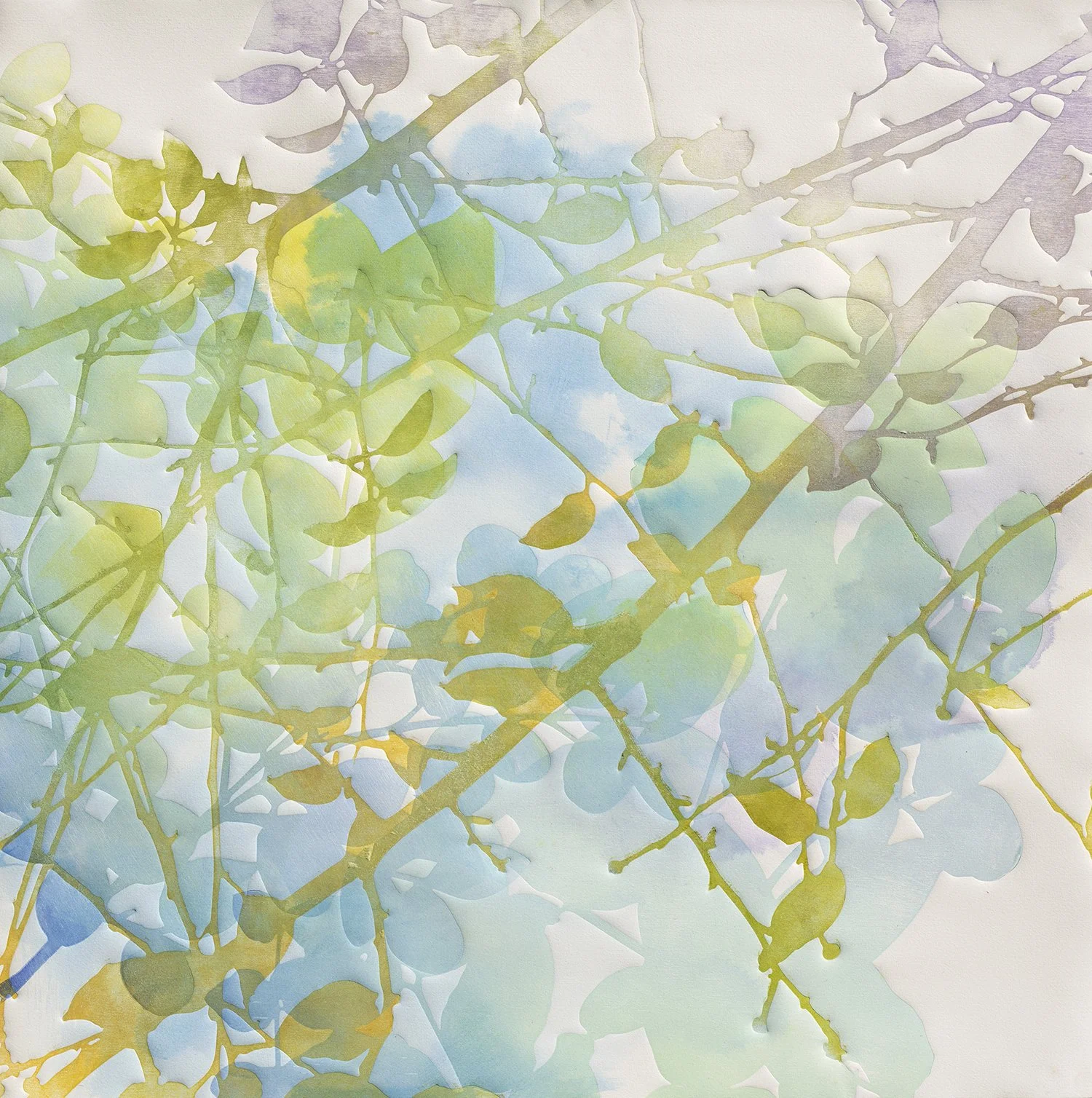 Canopy 2   2026