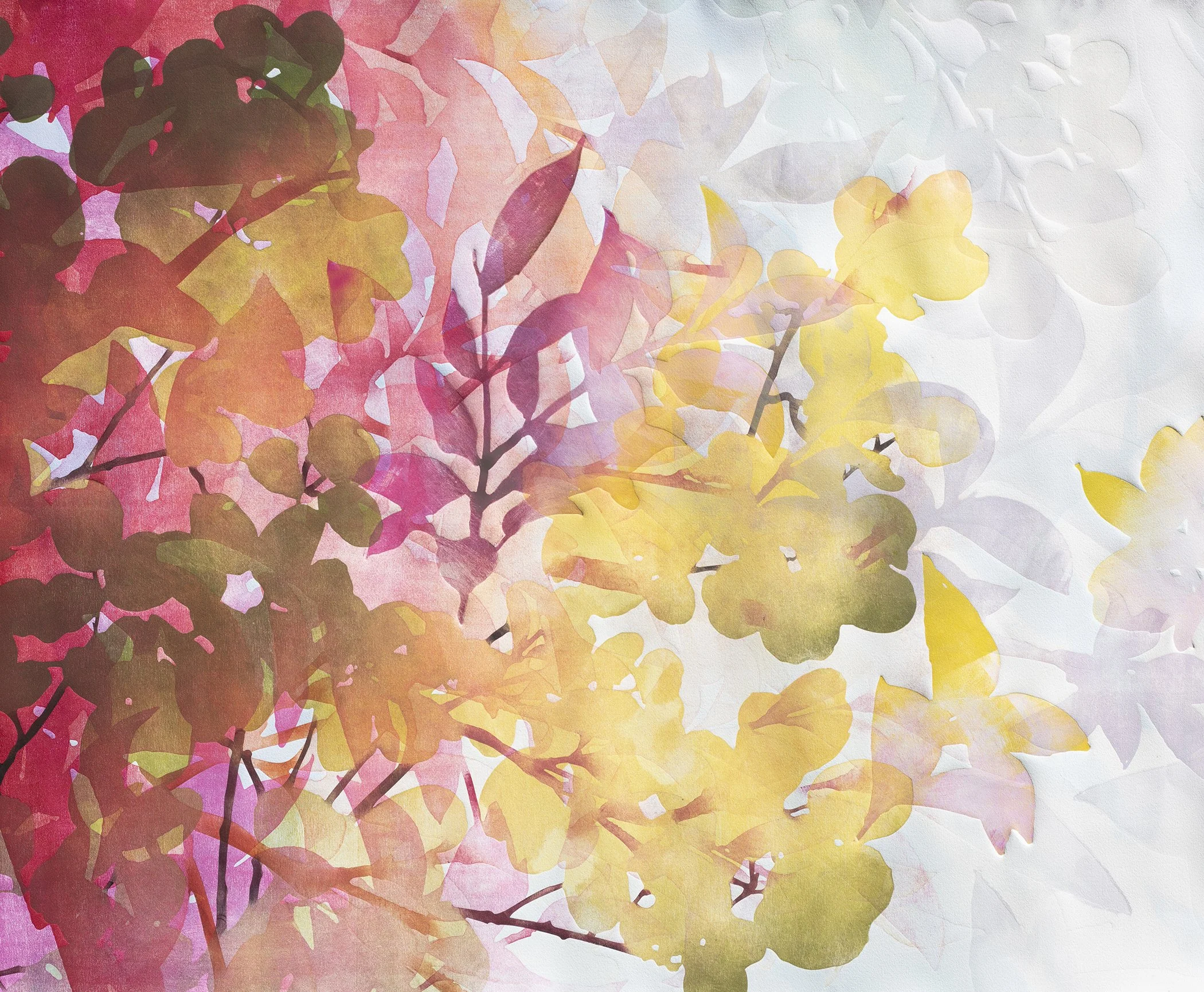 Autumn's Process   2026