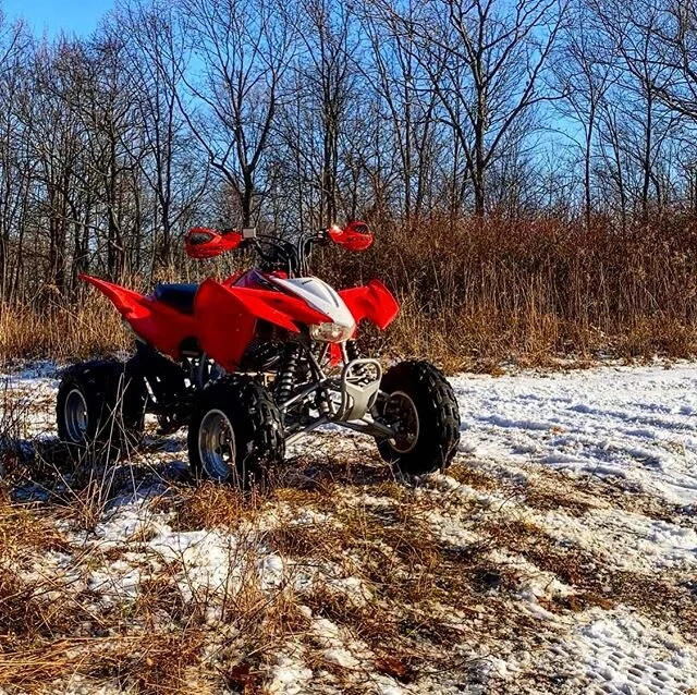 Snow cleans her up well...#JellyForSale