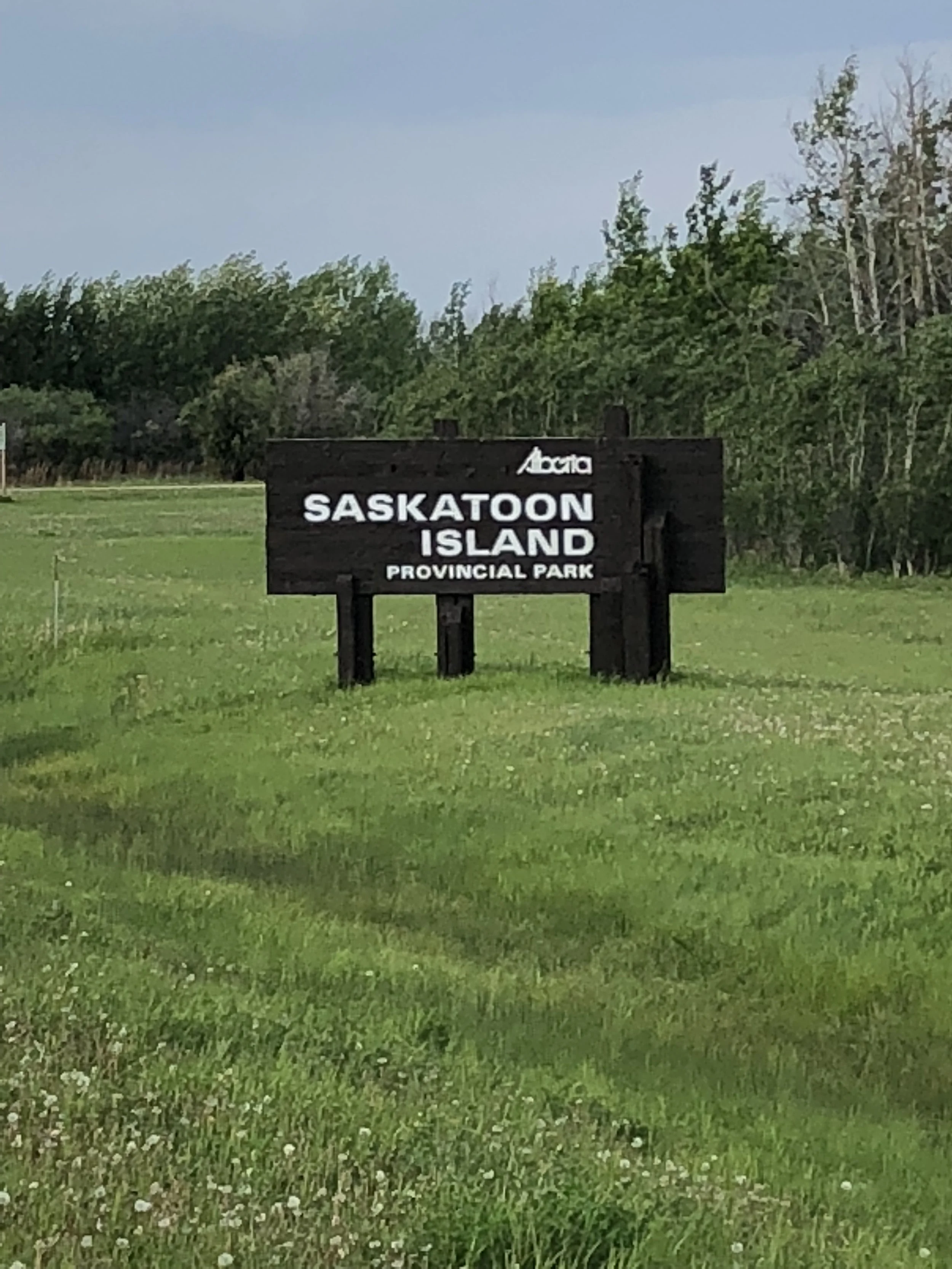  Saskatoon Island  