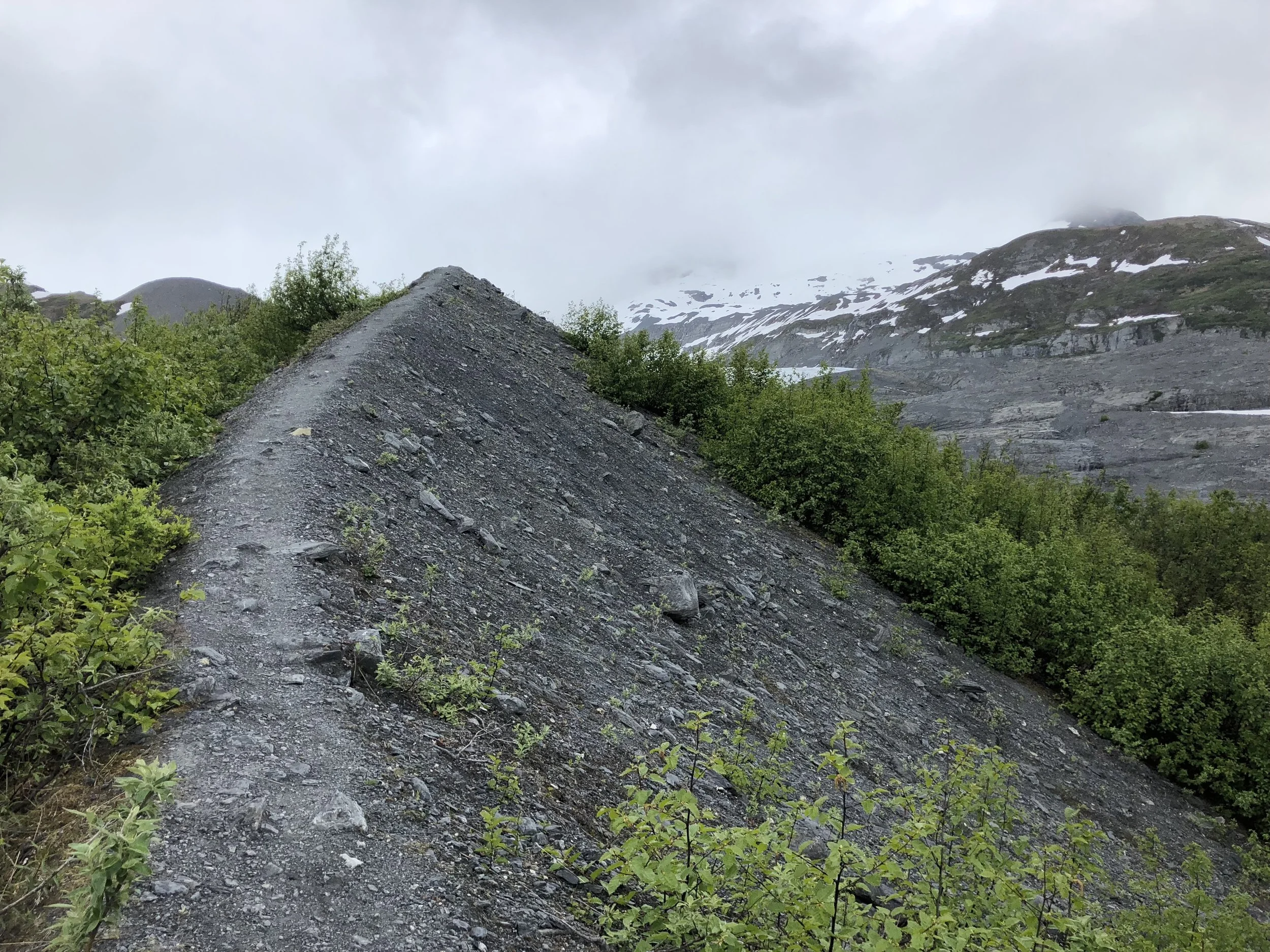  Trail to Worthington Glacier  