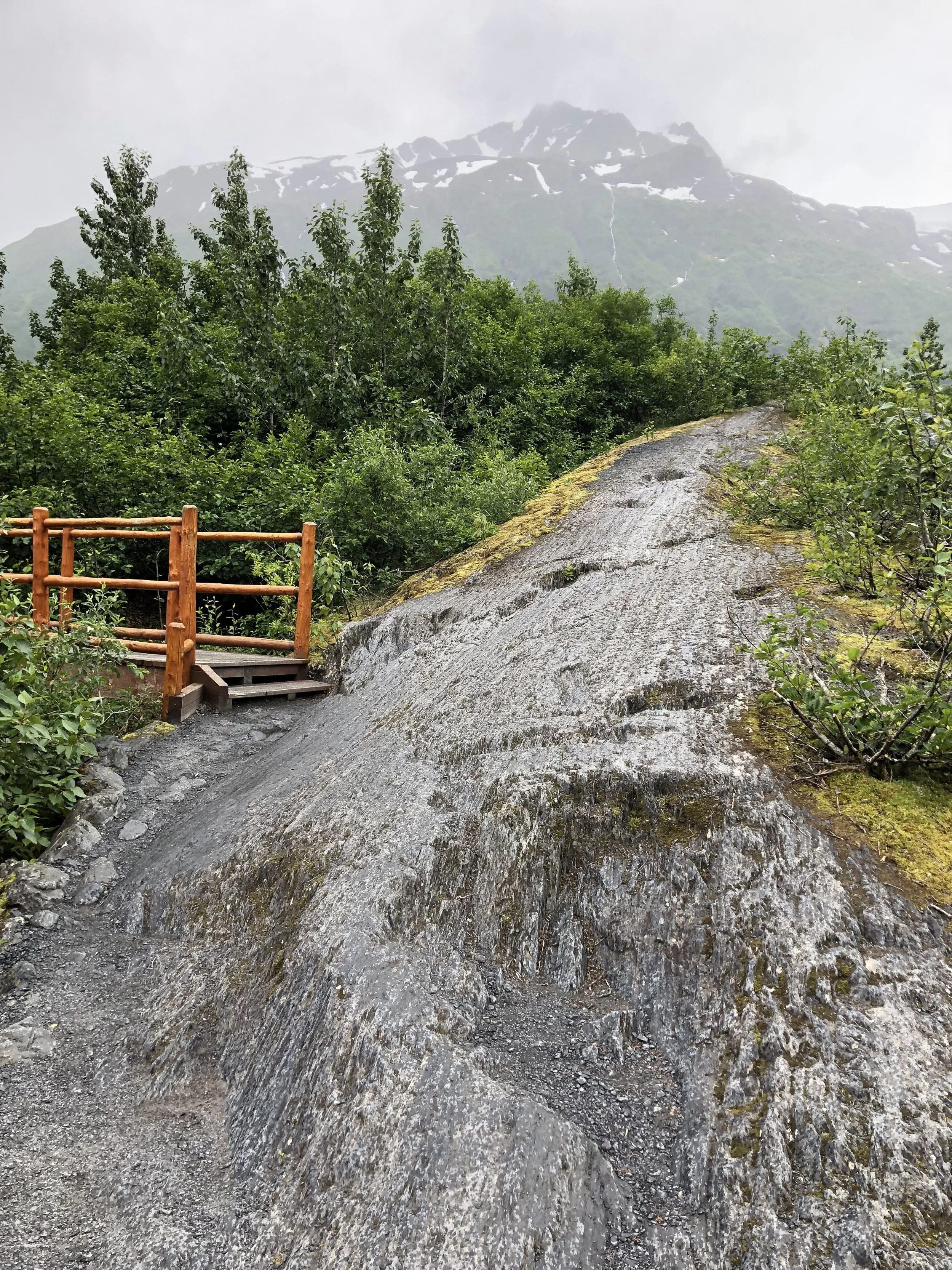  Trail to Exit Glacier 