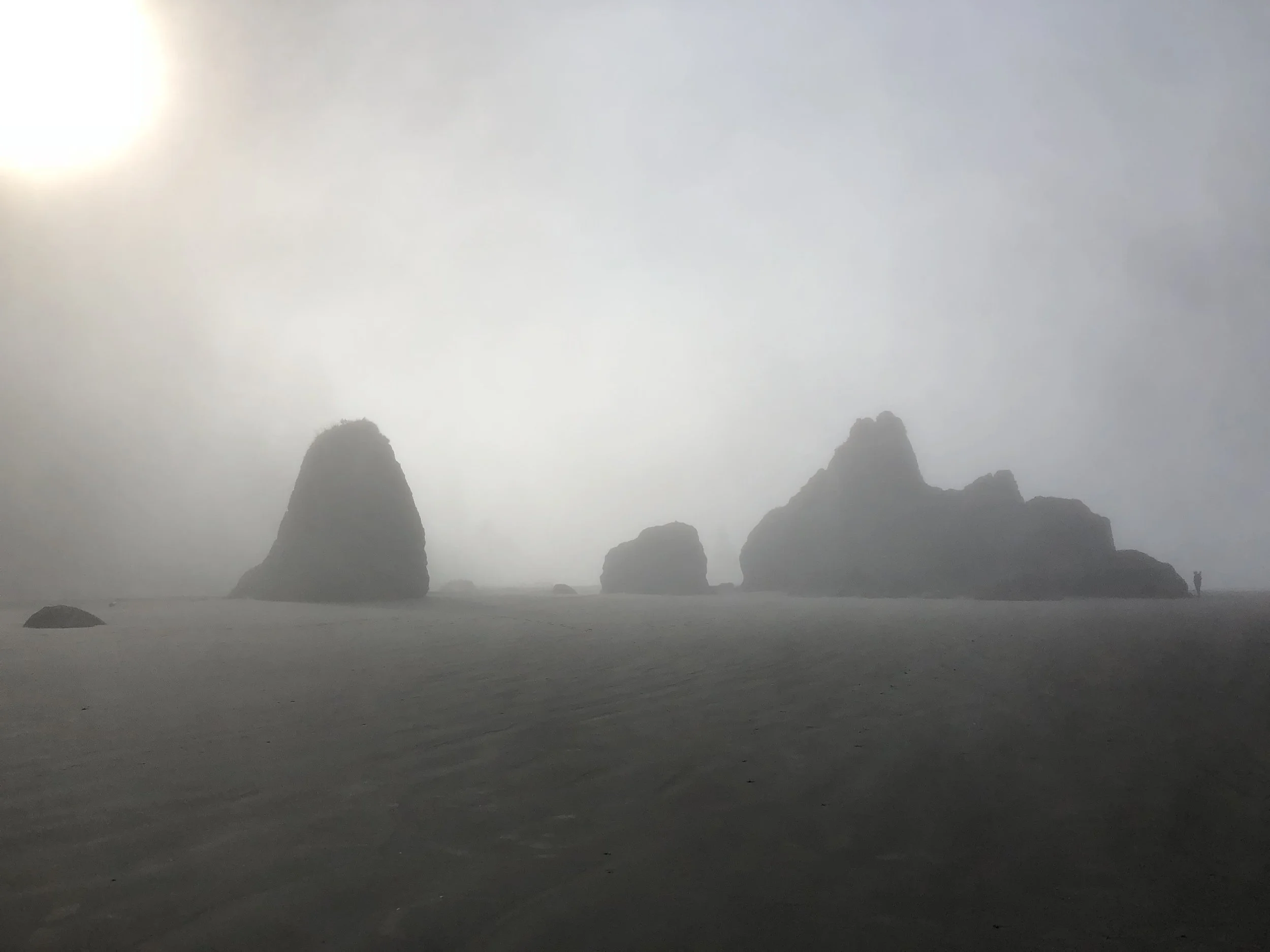  Ruby Beach 