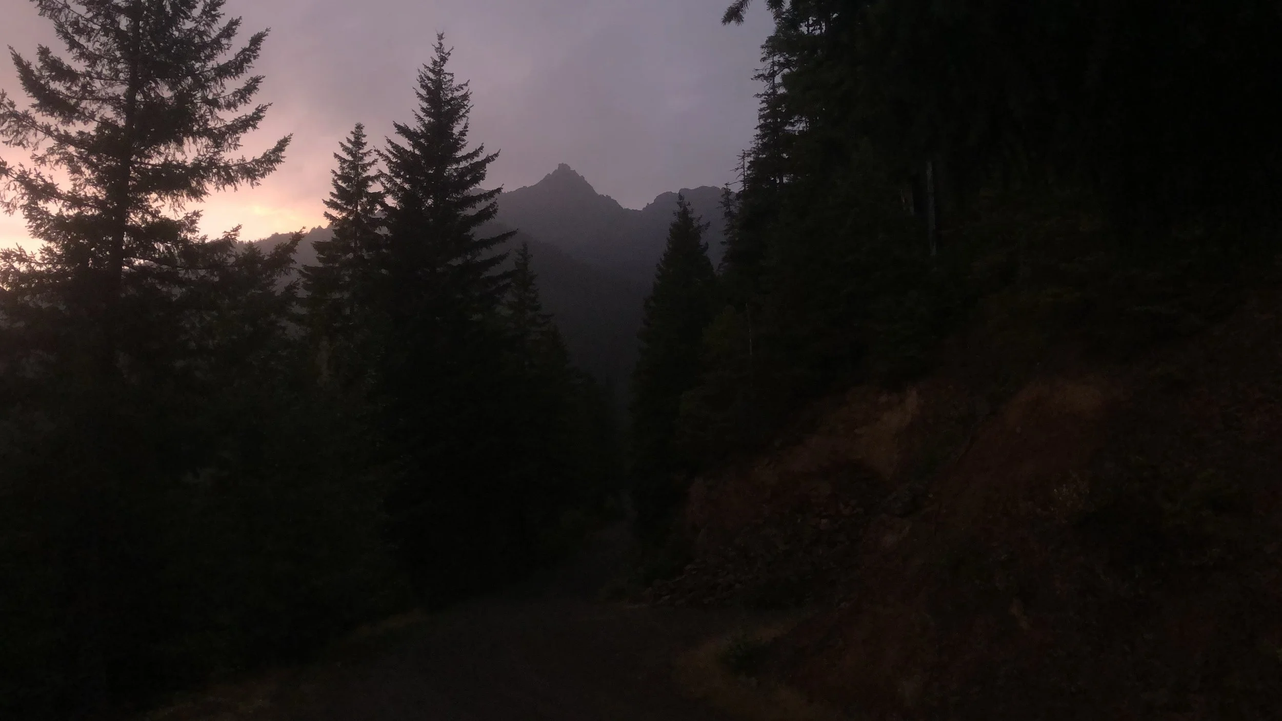  Sunset at Olympic National Forest  
