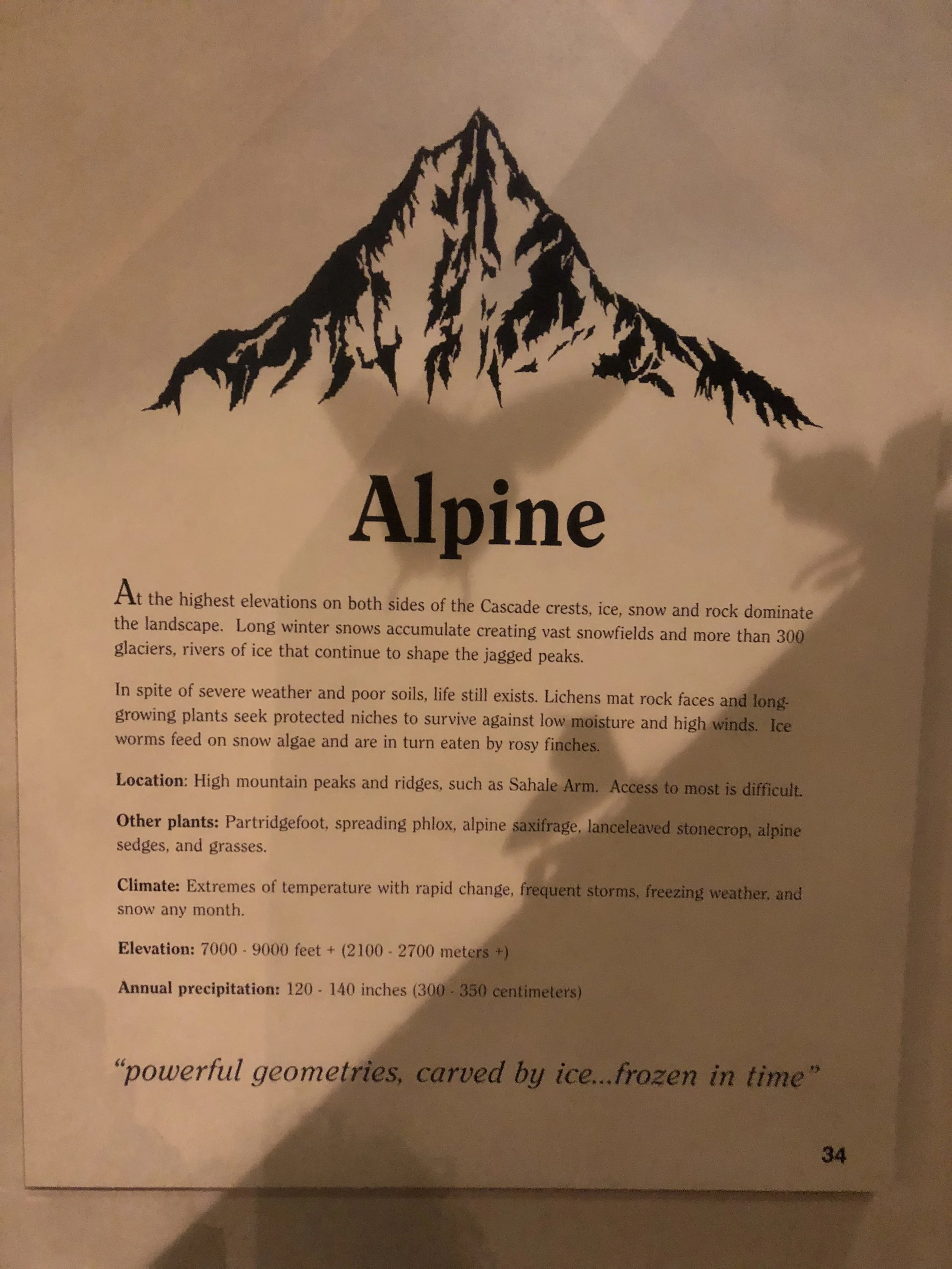  Alpine 