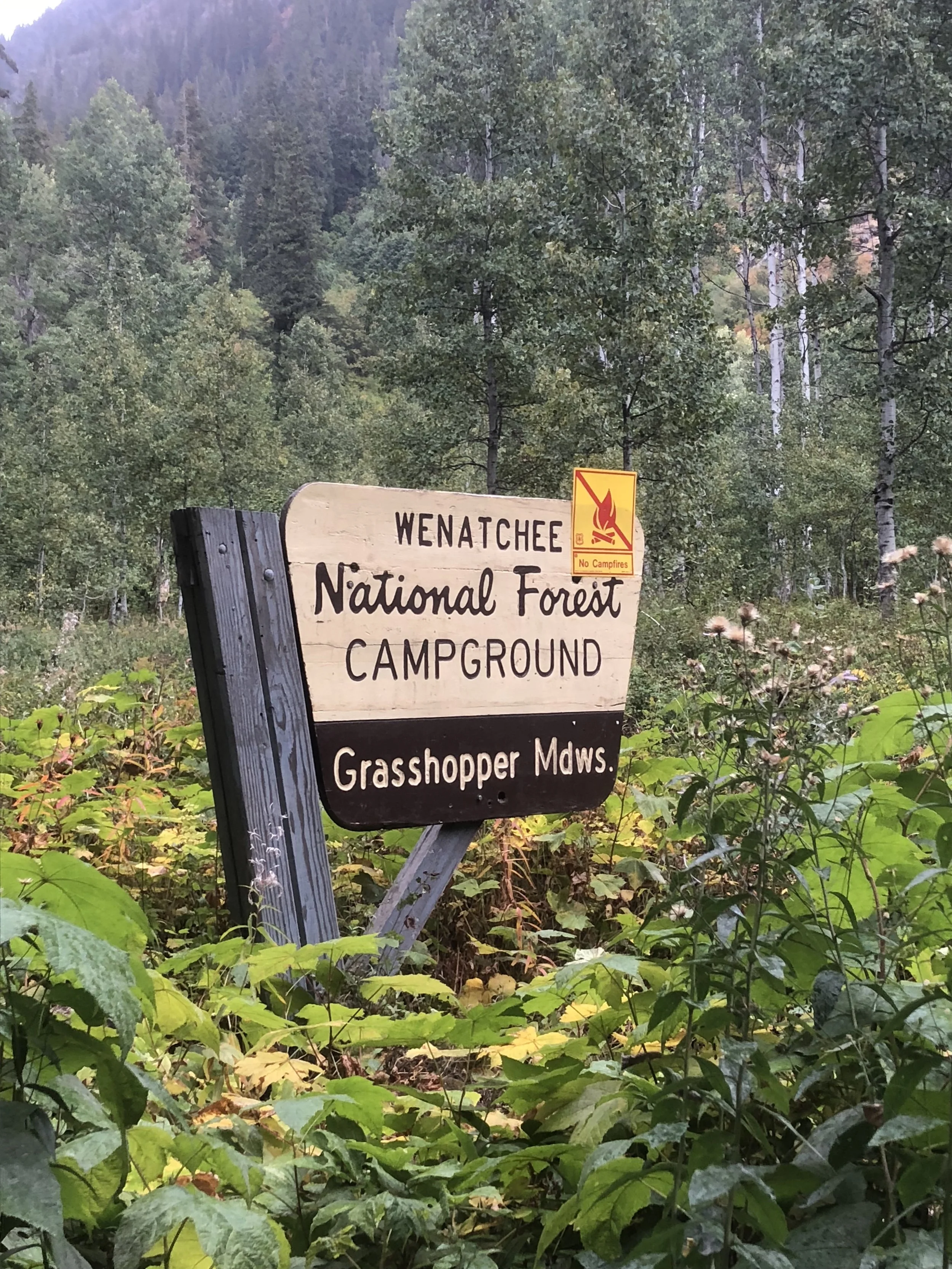 Grasshopper Meadows Wenatchee National Forest
