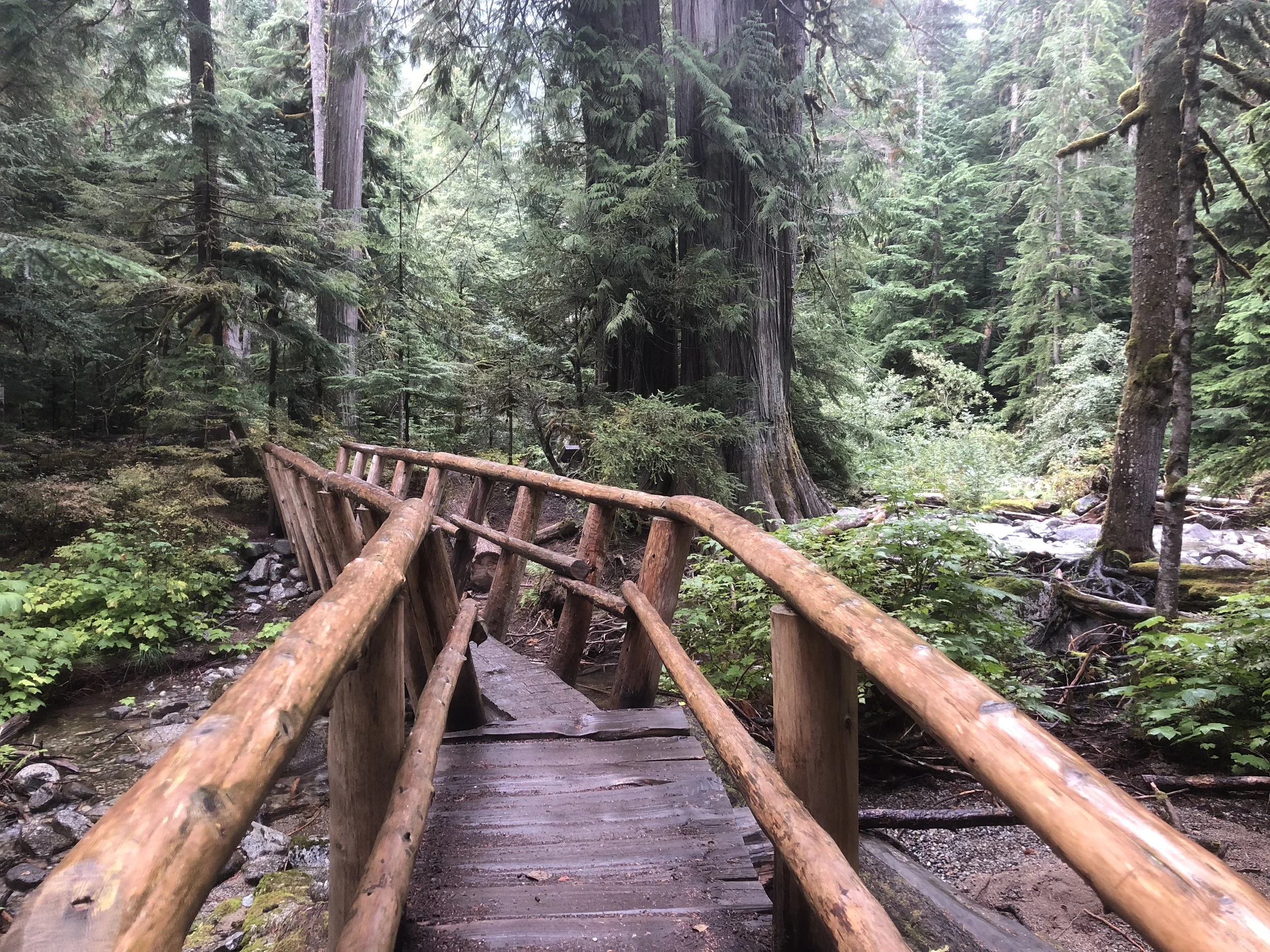  Wenatchee National Forest 