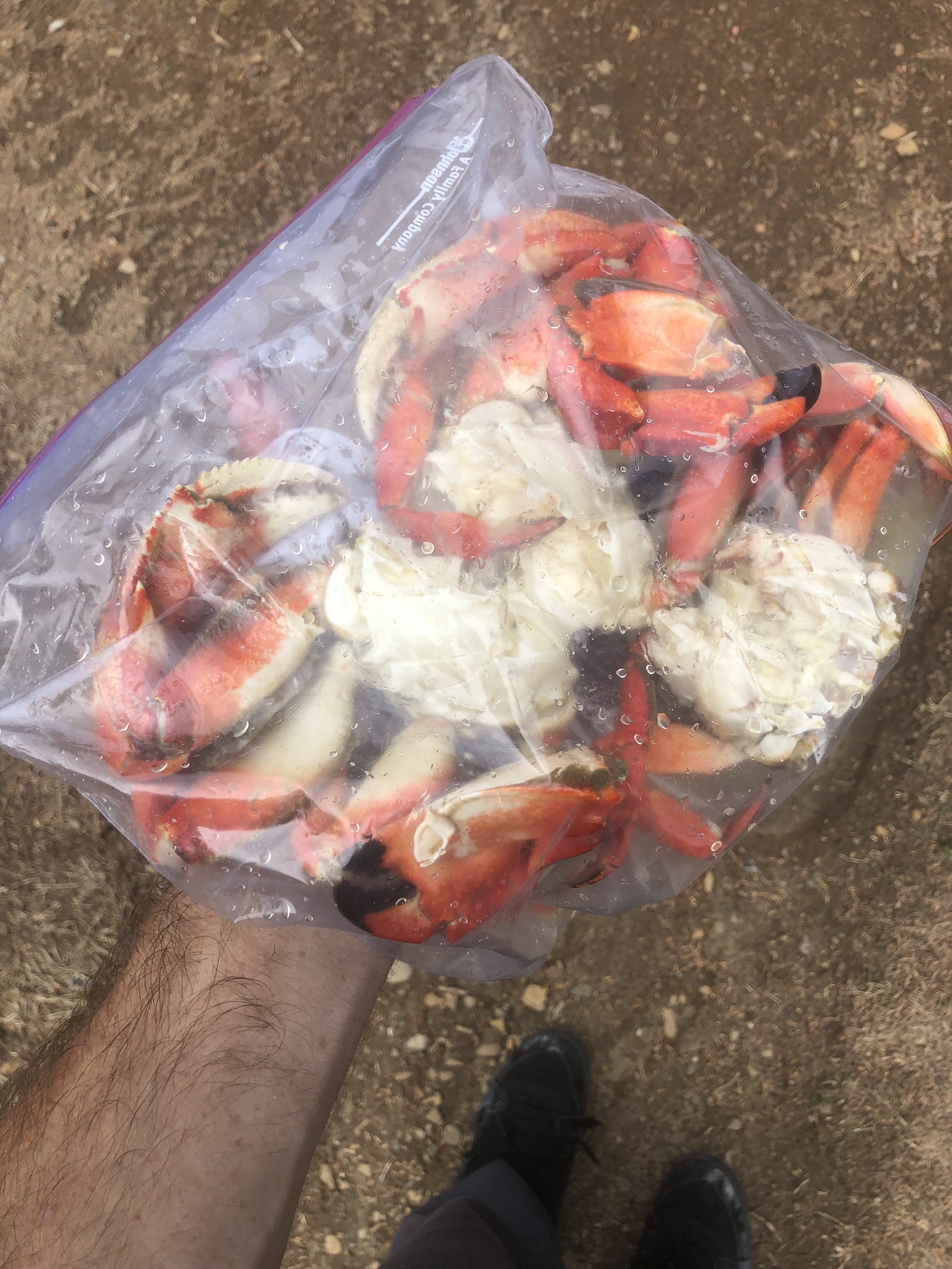  I’m not eating these 