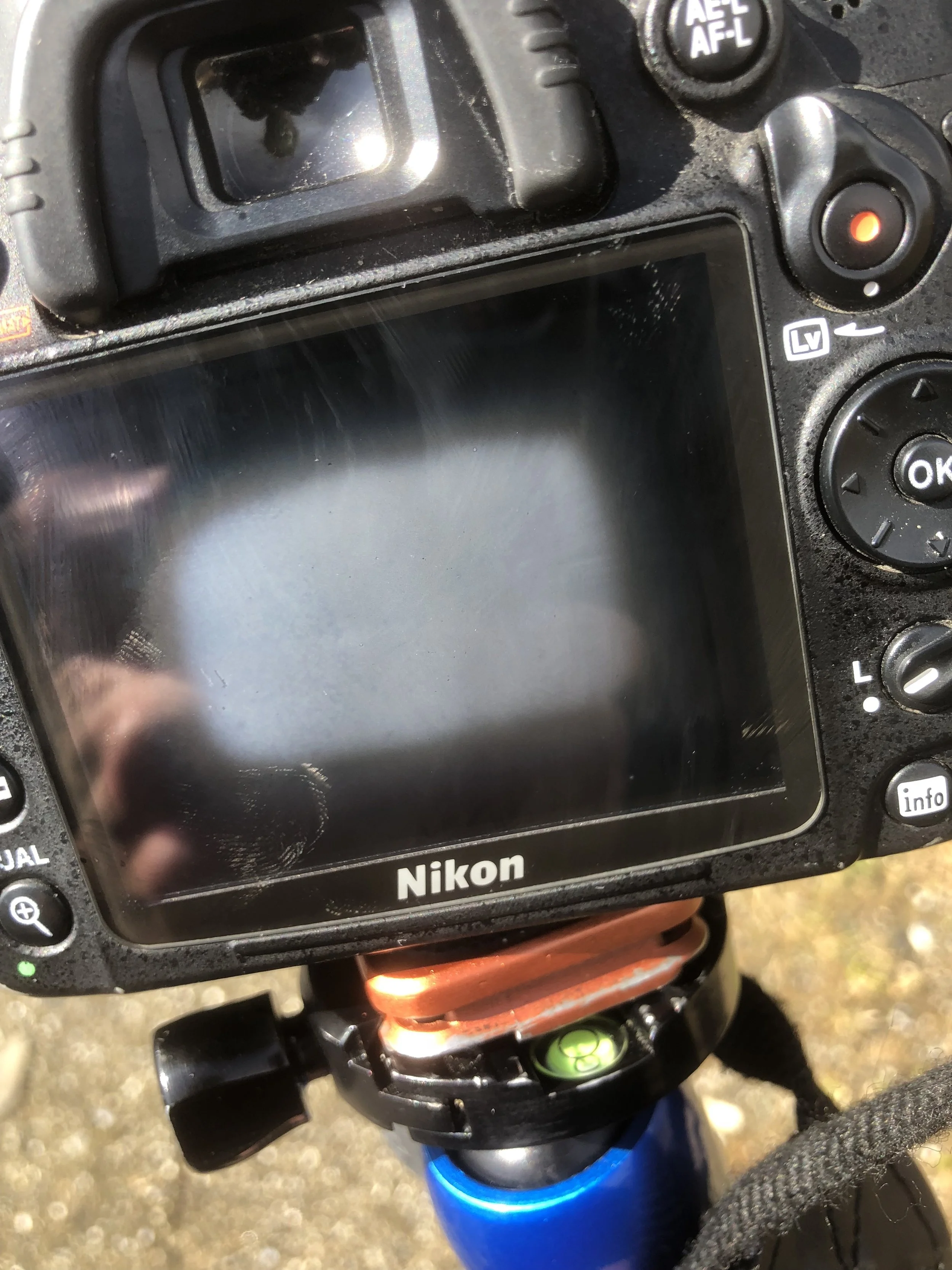  Condensation inside the camera from the tent flood 