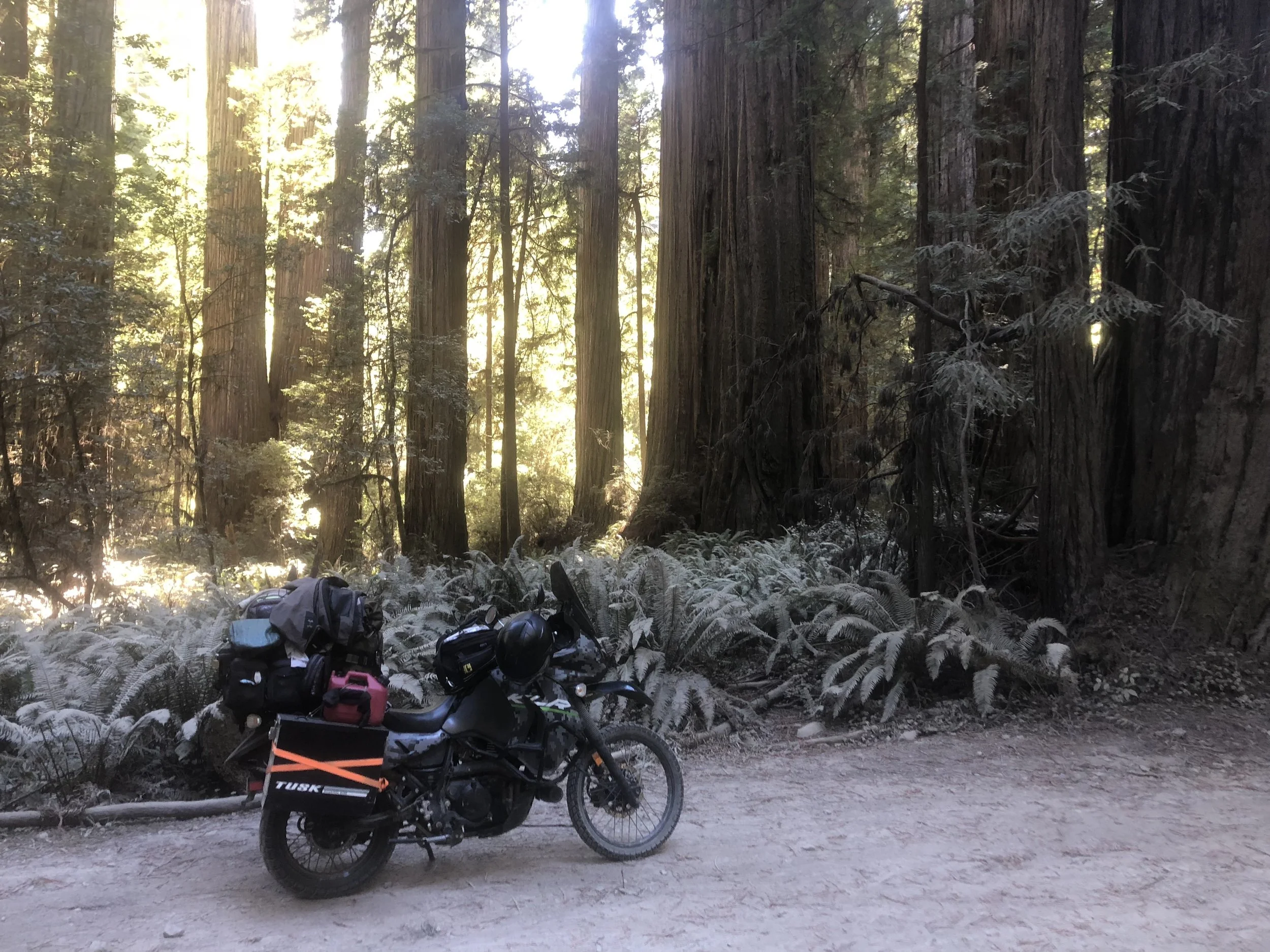 Jedediah Smith Redwoods State Park