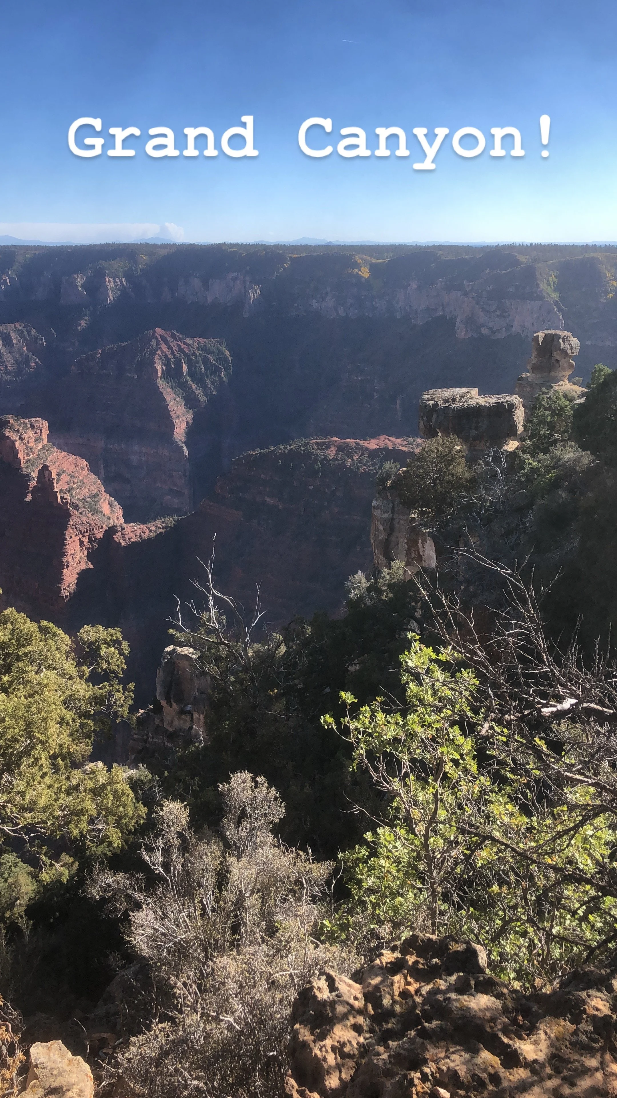  Grand Canyon  
