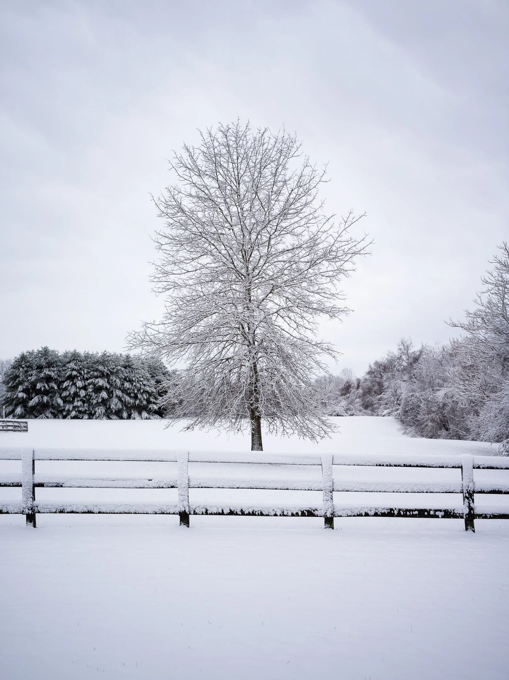  Purcellville • Virginia 