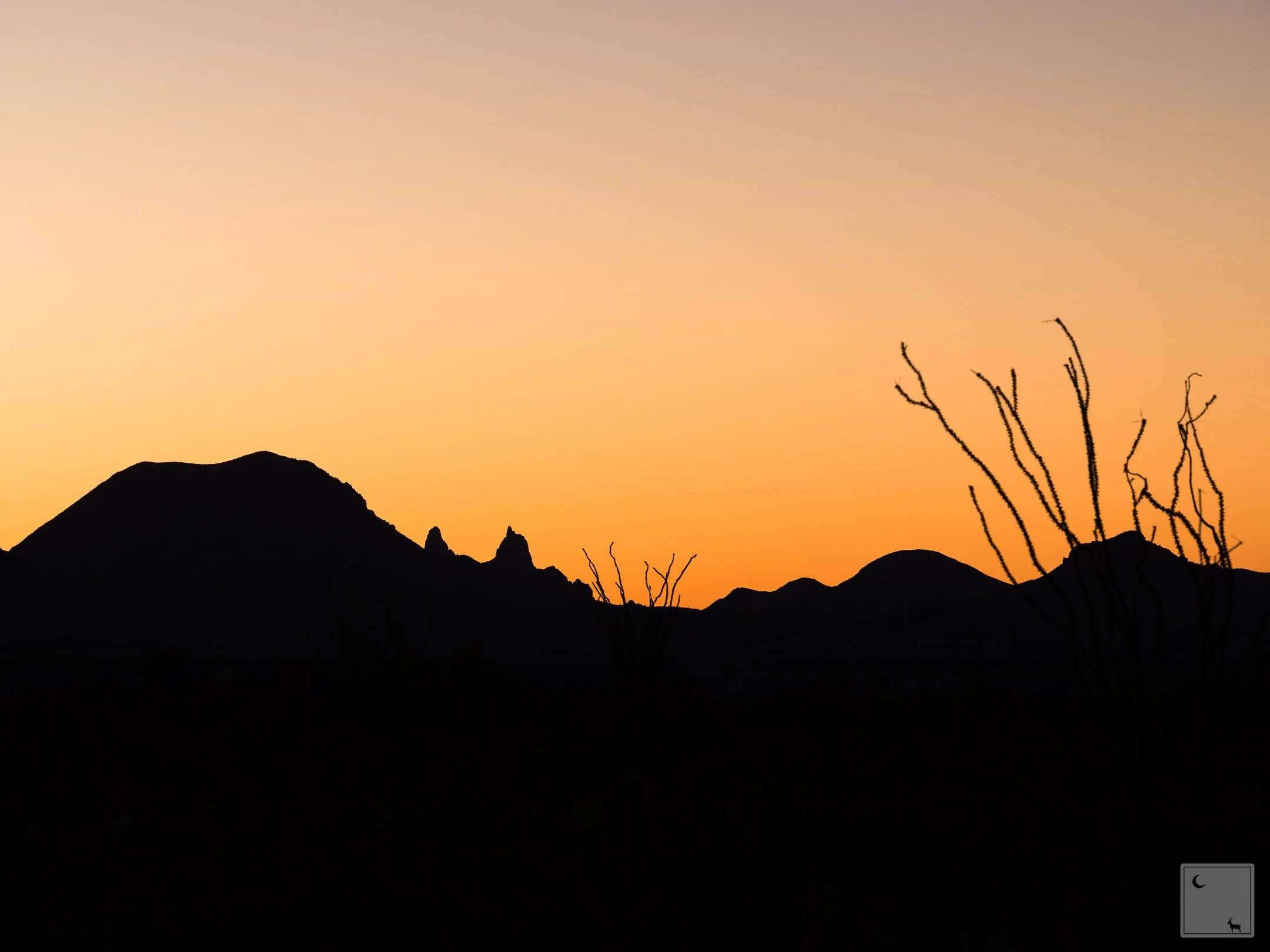  Big Bend National Park • Texas 