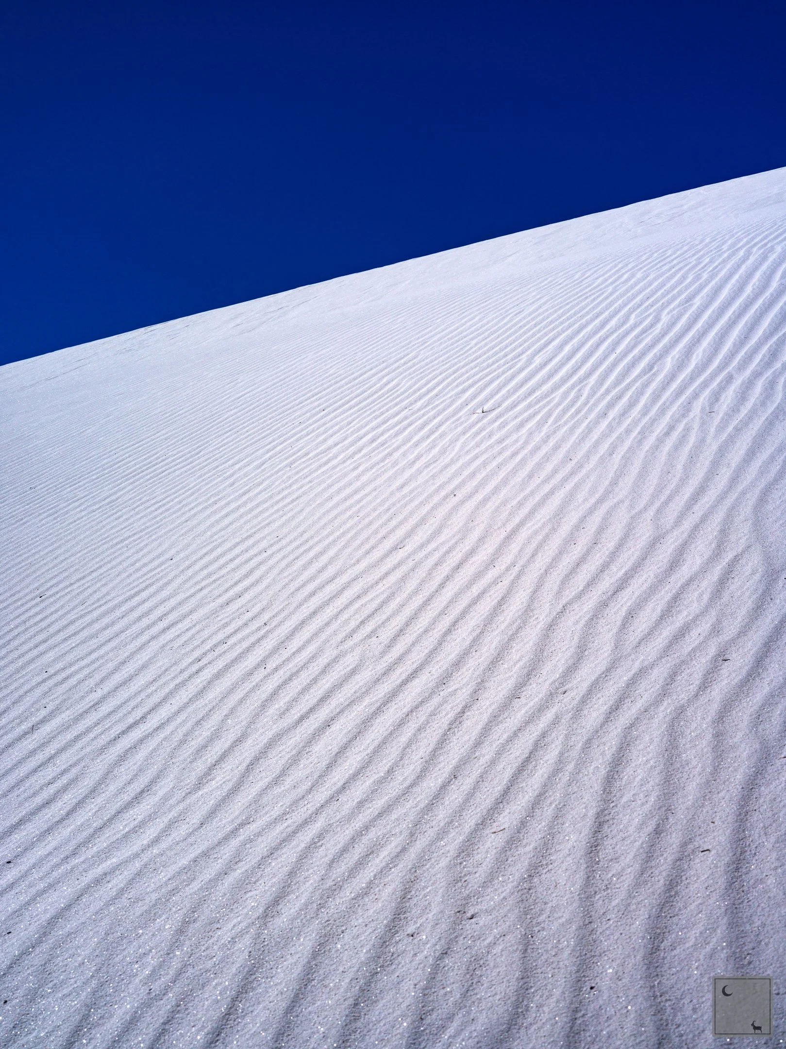  White Sands National Park • New Mexico 