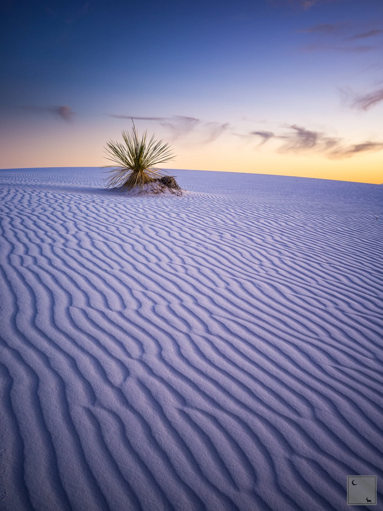  White Sands National Park • New Mexico 