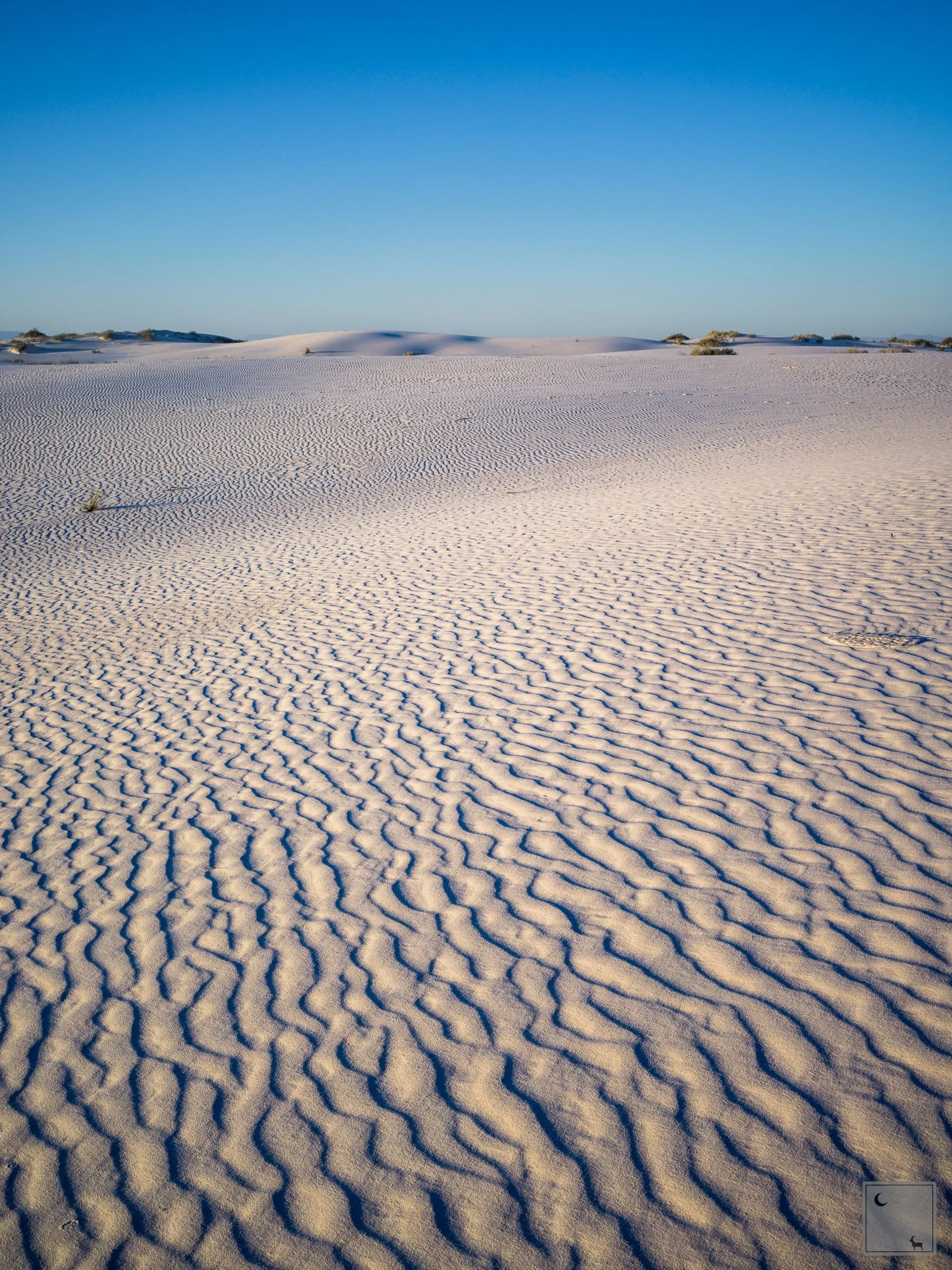  White Sands National Park • New Mexico 