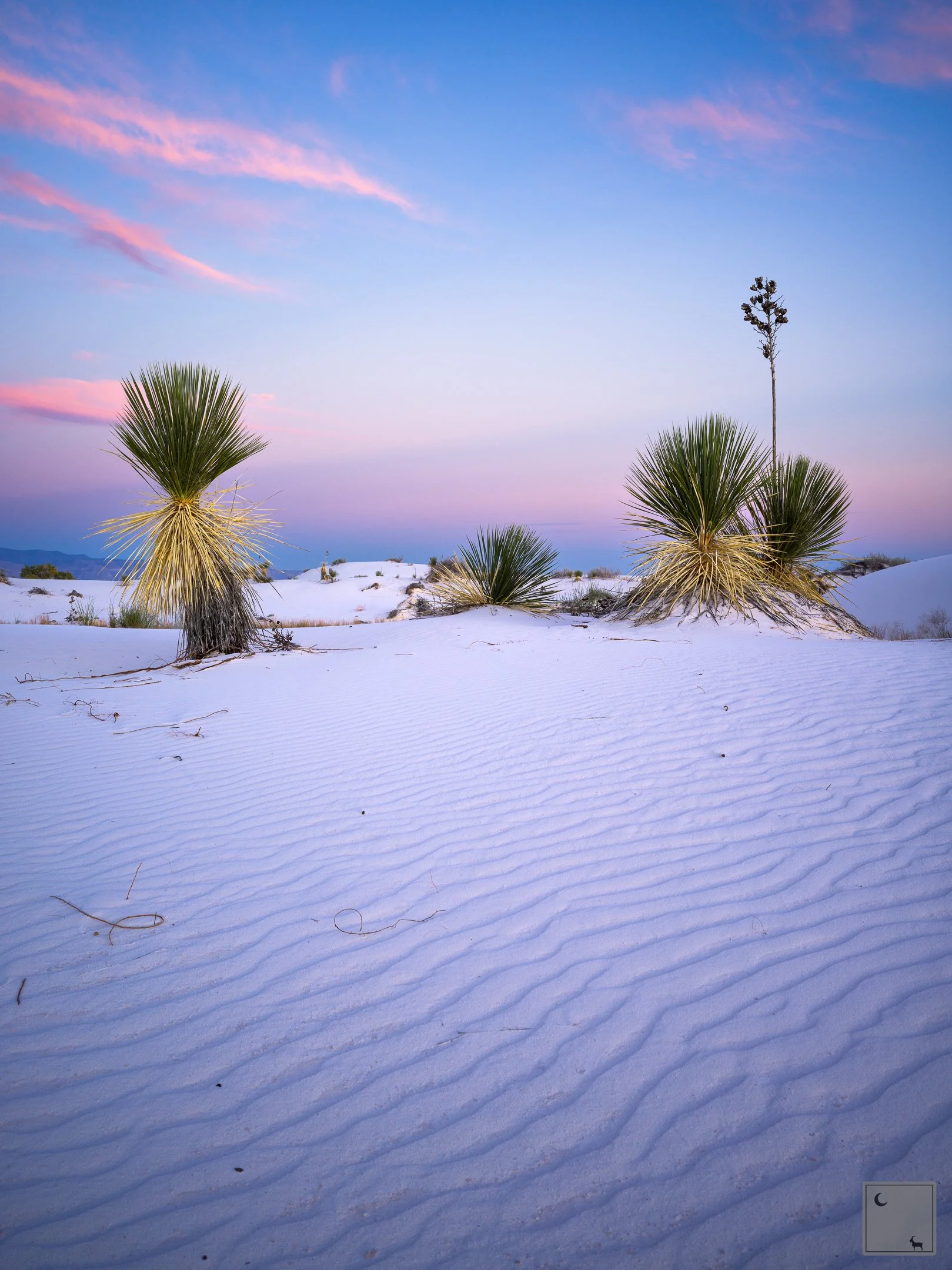  White Sands National Park • New Mexico 