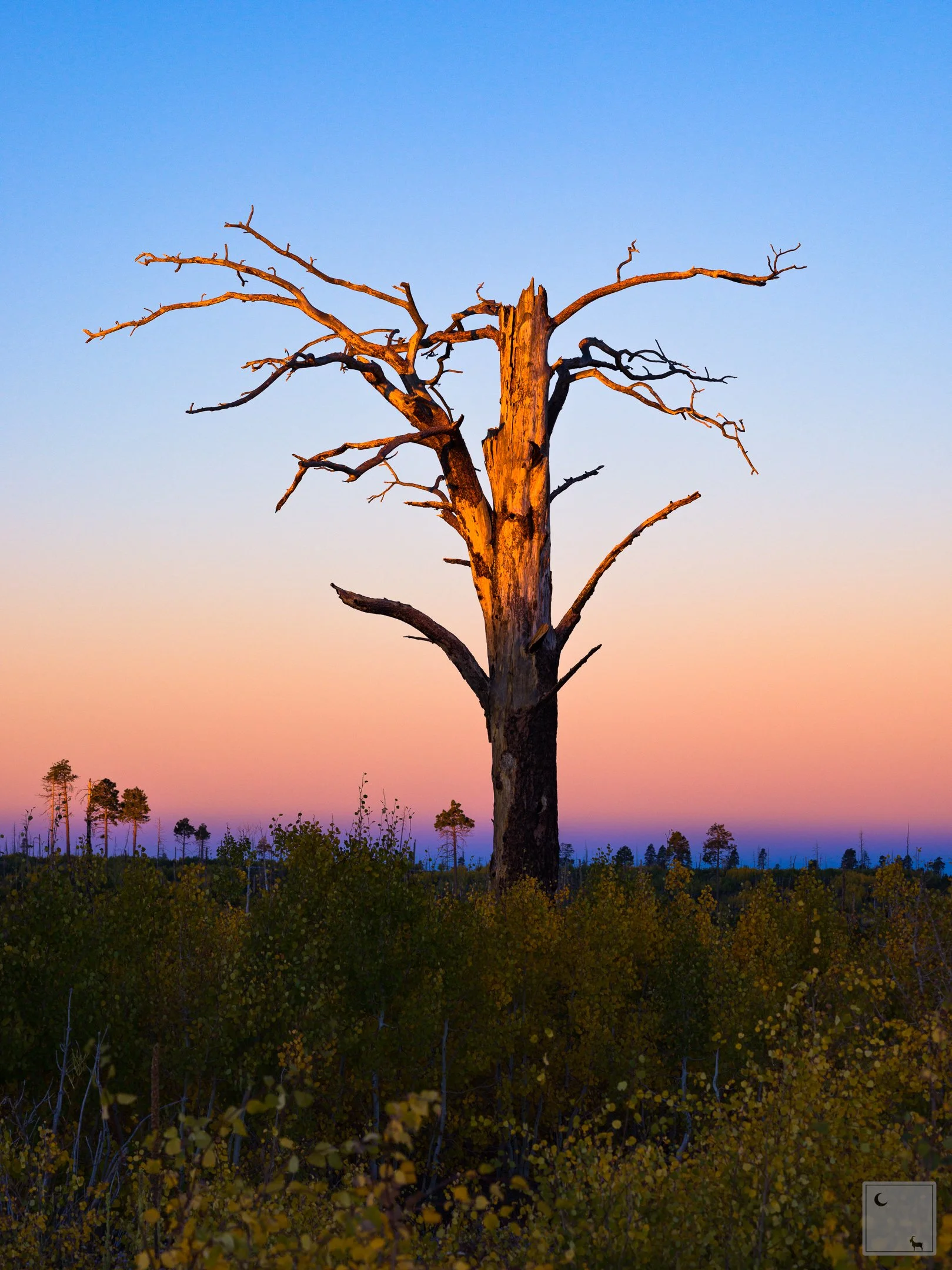  Kaibab National Forest • Arizona 