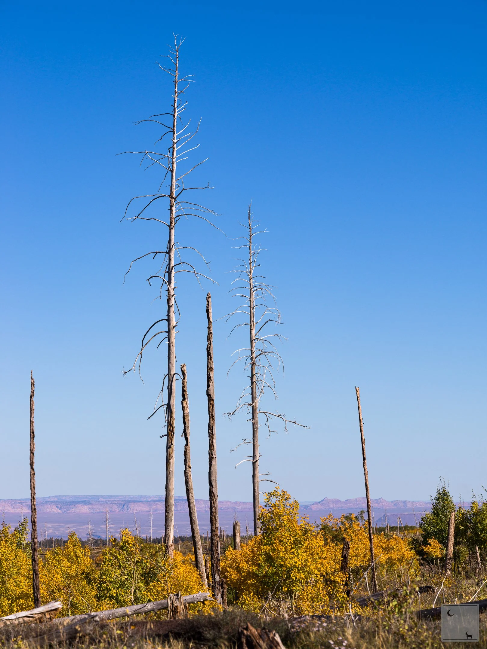  North Rim Grand Canyon National Park • Arizona 