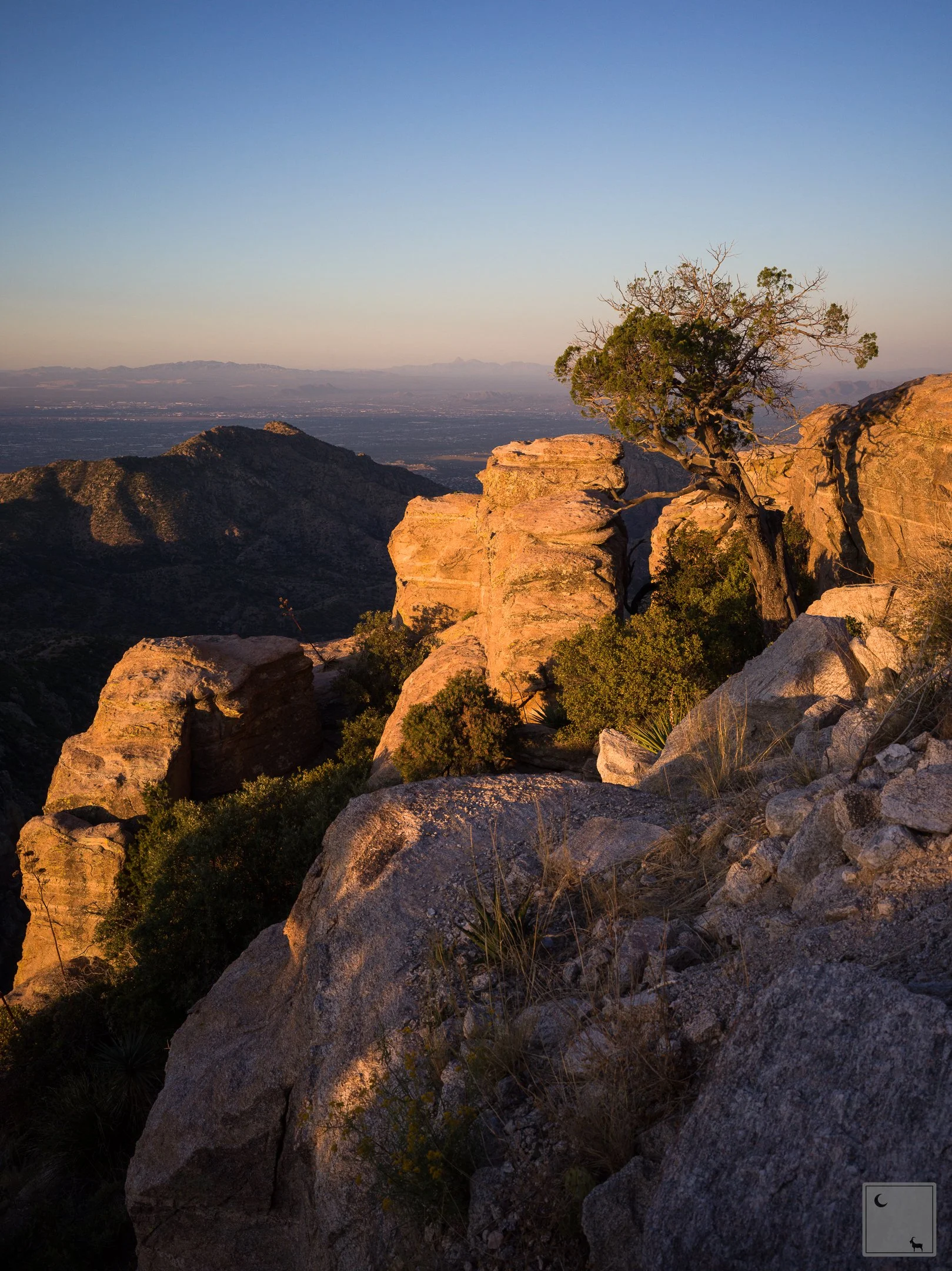 Mt Lemmon • Arizona 