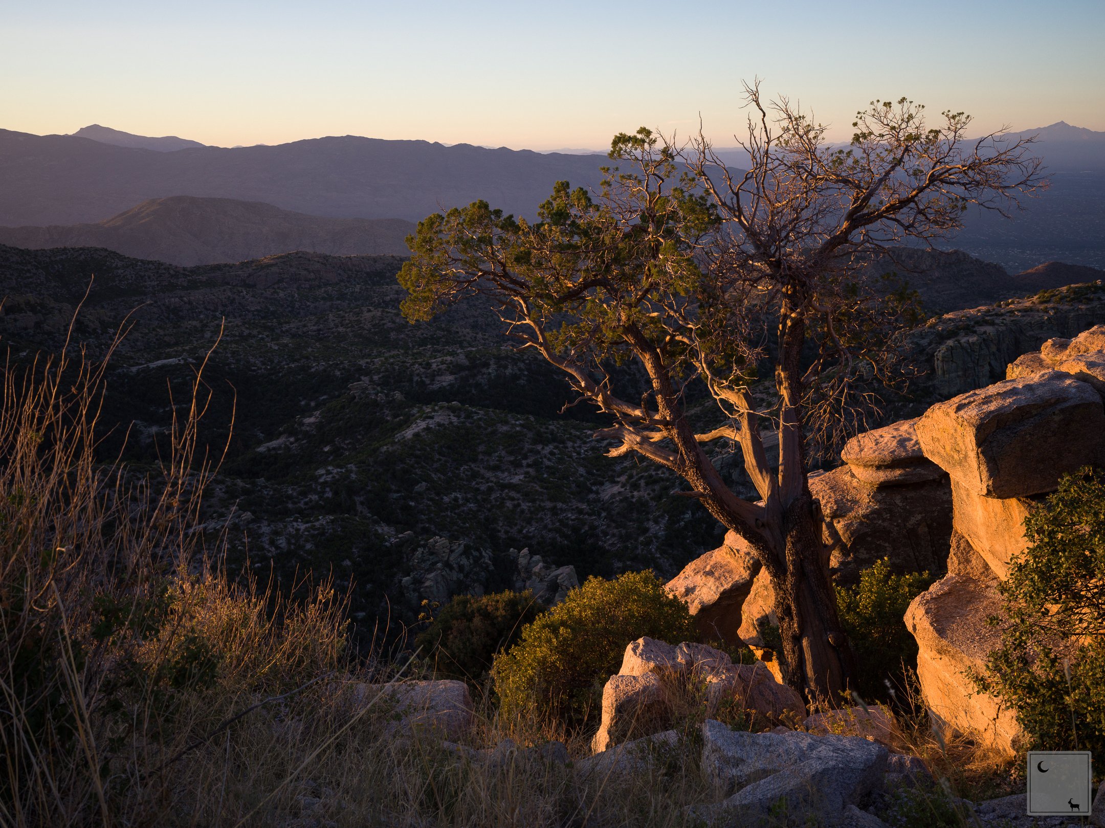  Mt Lemmon • Arizona 