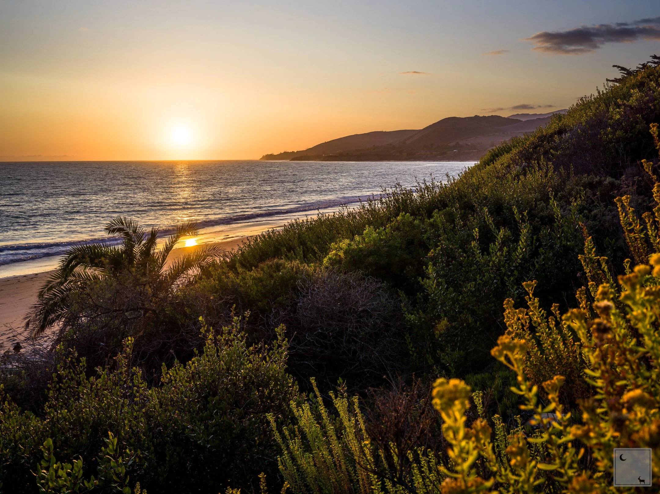  Pacific Ocean • California 