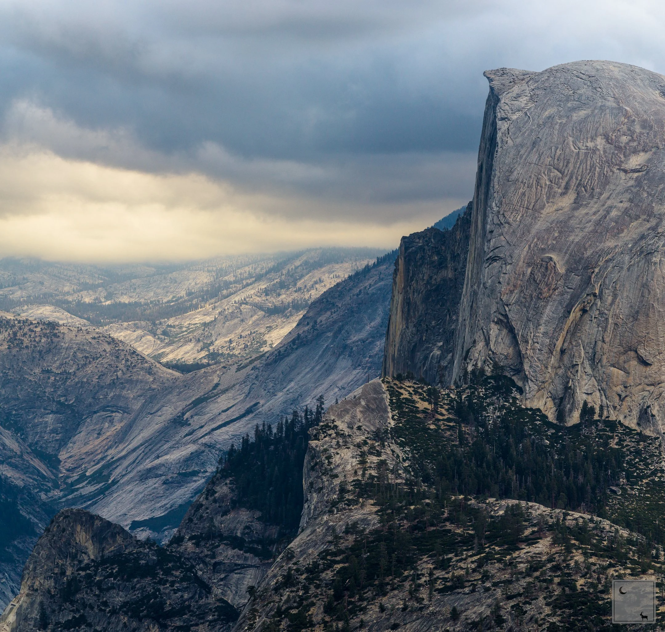  Yosemite National Park • California 
