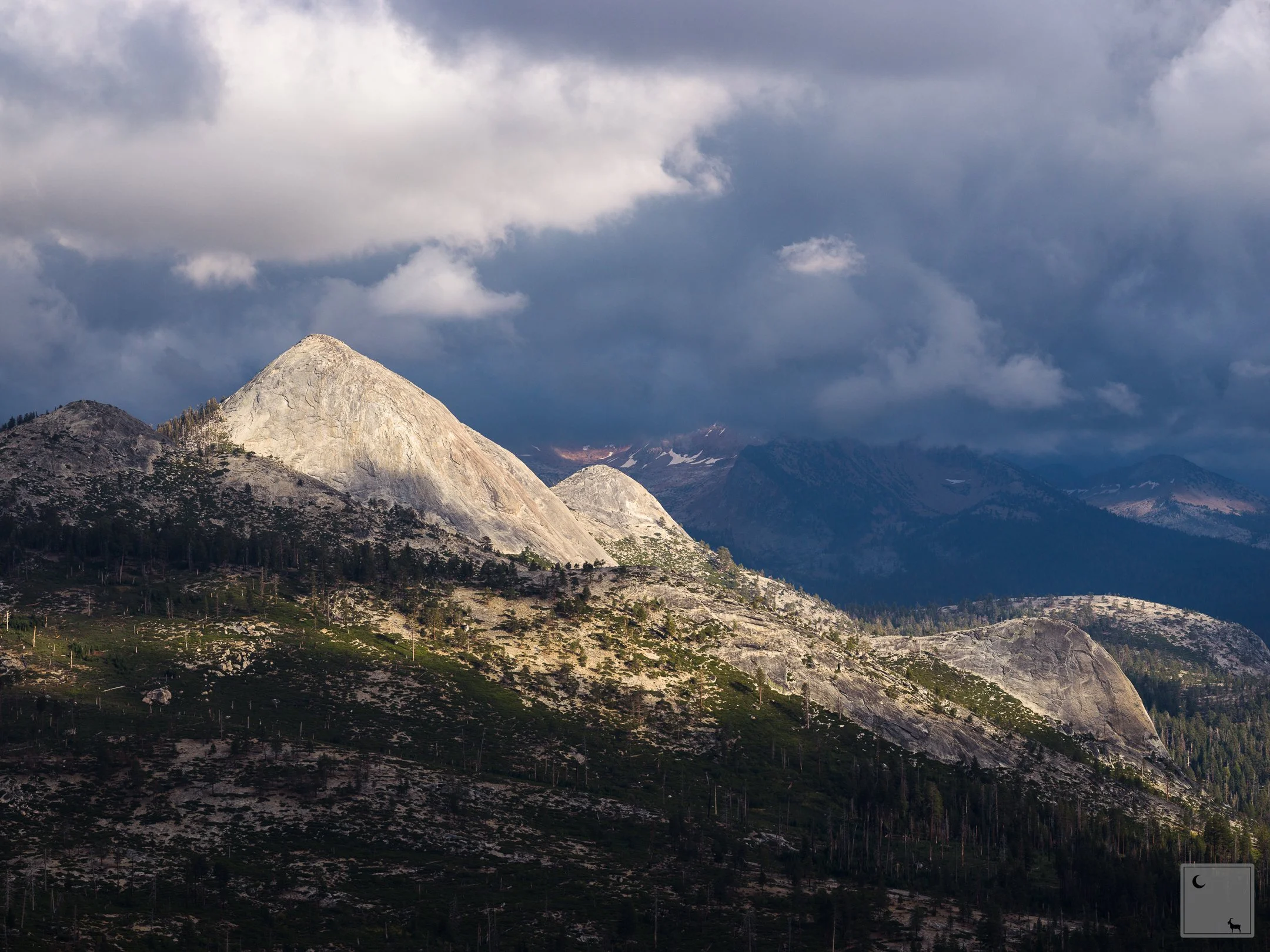  Yosemite National Park • California 