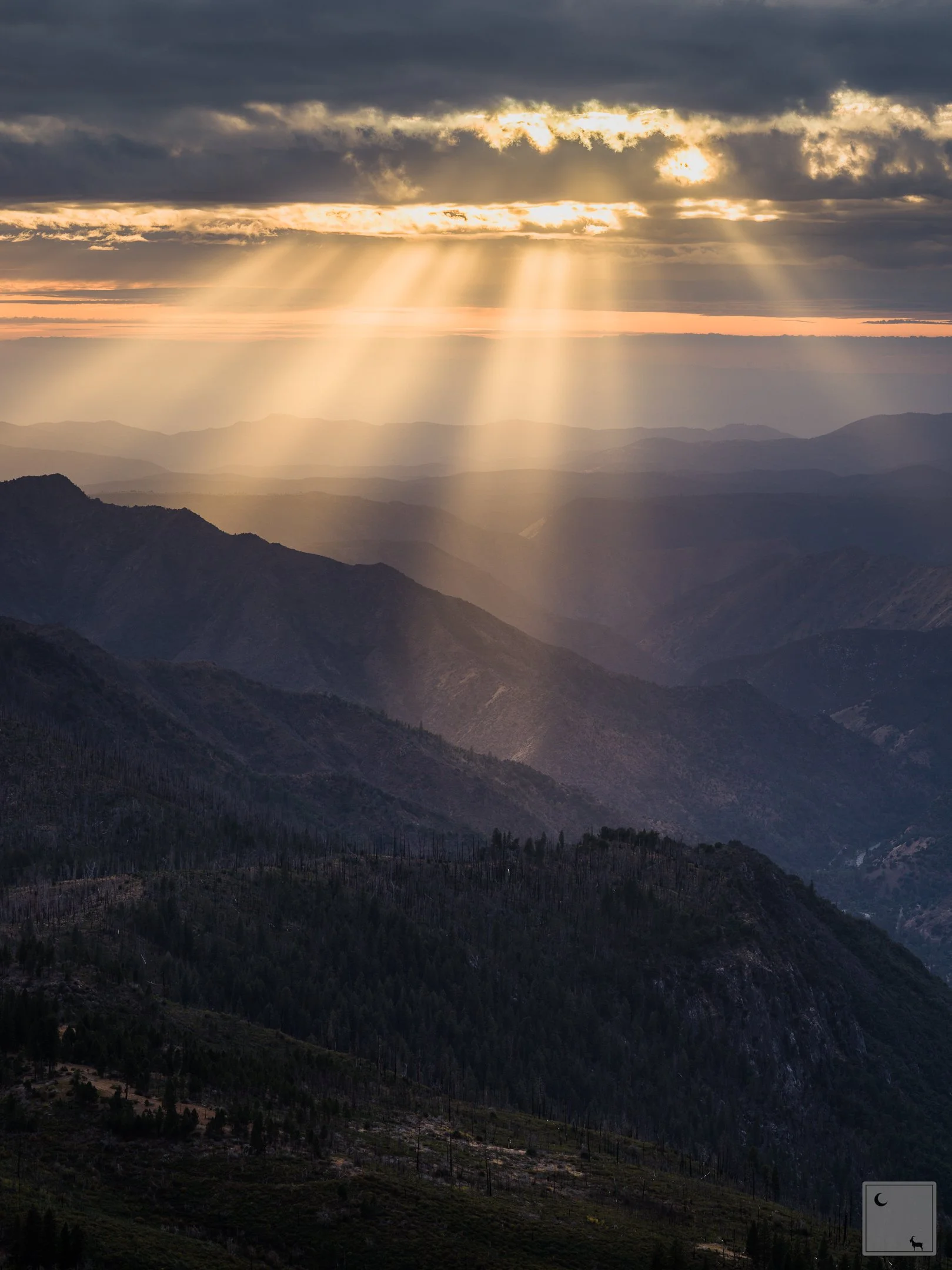  Yosemite National Park • California 