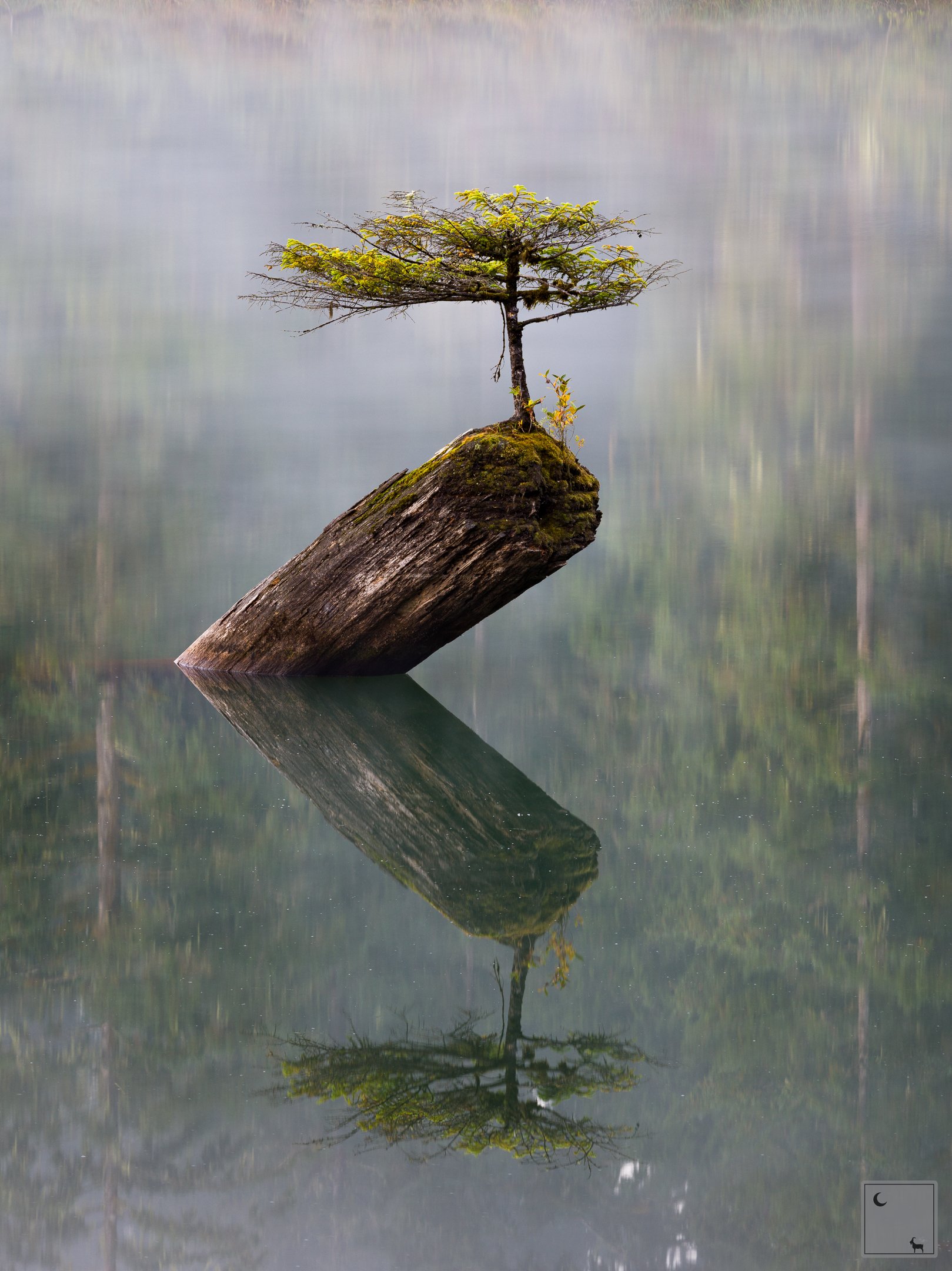  Fairy Lake • British Columbia 