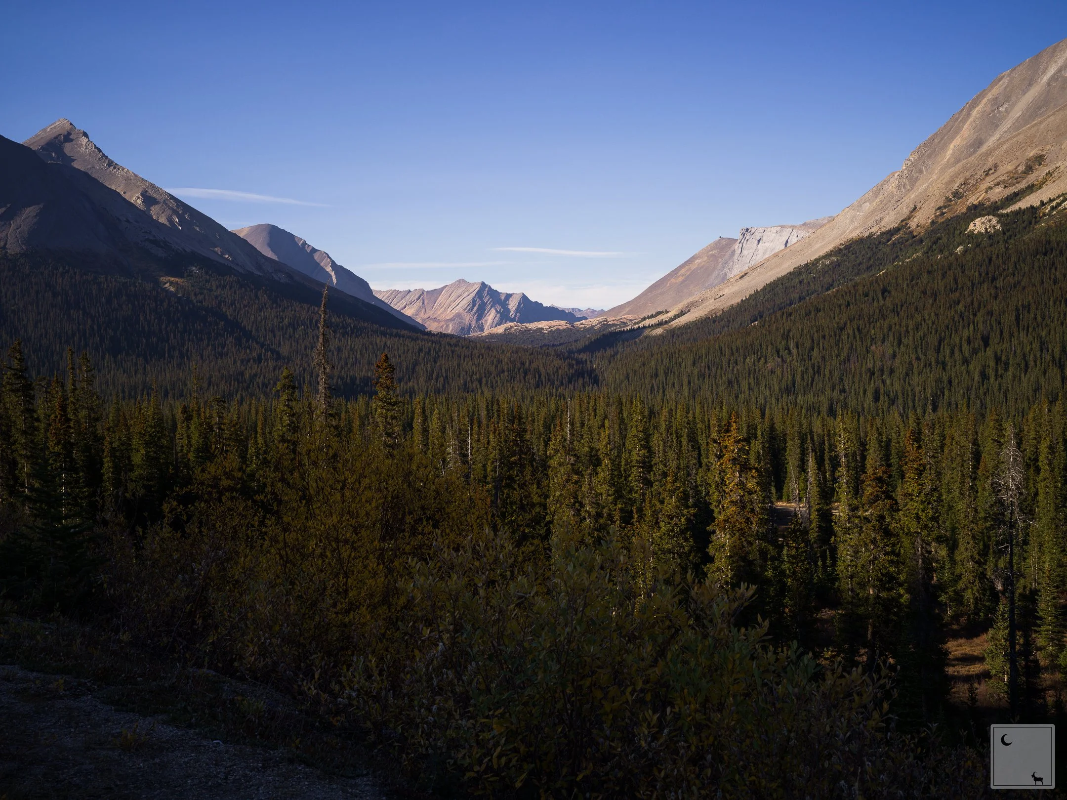  Jasper National Park • Alberta 